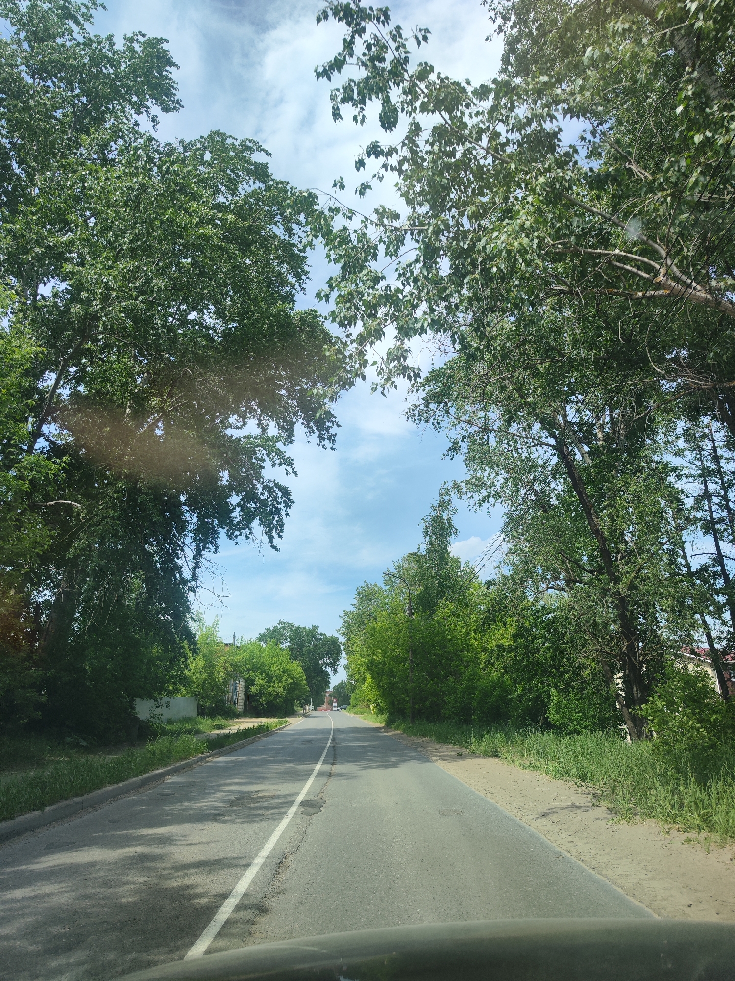 The image depicts a road in Chaikovsky, Russia, framed by tall trees on both sides, their branches creating a canopy overhead that partially obscures a blue sky with scattered clouds. The asphalt road stretches forward with a solid white line marking the center, showing signs of wear and tear. Lush green vegetation borders the road on either side, transitioning into denser trees and bushes. In the distance, the road leads towards what seems like a residential area. A vehicle's dashboard is visible in the foreground, suggesting the photo was taken from inside a car.