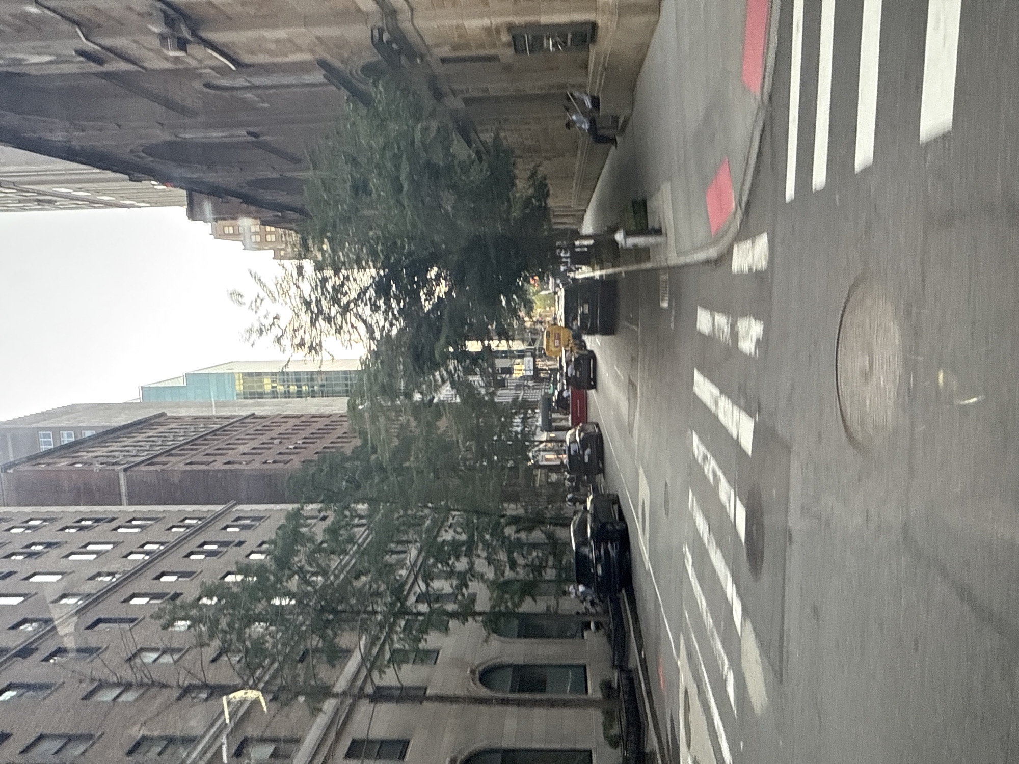 This is a street-level, medium-shot, vertical photograph taken from a moving vehicle, looking down a city street in New York City. The street is paved with asphalt and features white pedestrian crosswalk markings and a manhole cover. On the left side of the street, a tall, multi-story brick building with many windows dominates the view. Trees with sparse foliage line the sidewalk in front of this building, casting shadows on the street. Several dark-colored cars are parked along the left side of the street.
The right side of the street is lined by another building, appearing to be constructed of stone or brick, with arched windows. A sidewalk runs alongside this building, where two individuals are seated on steps. A fire hydrant is visible on the sidewalk. Further down the street, more trees and buildings are visible, as well as several vehicles, including a yellow taxi. The sky is overcast and bright. The overall impression is a city street scene, possibly in a business or residential district, during daylight hours.