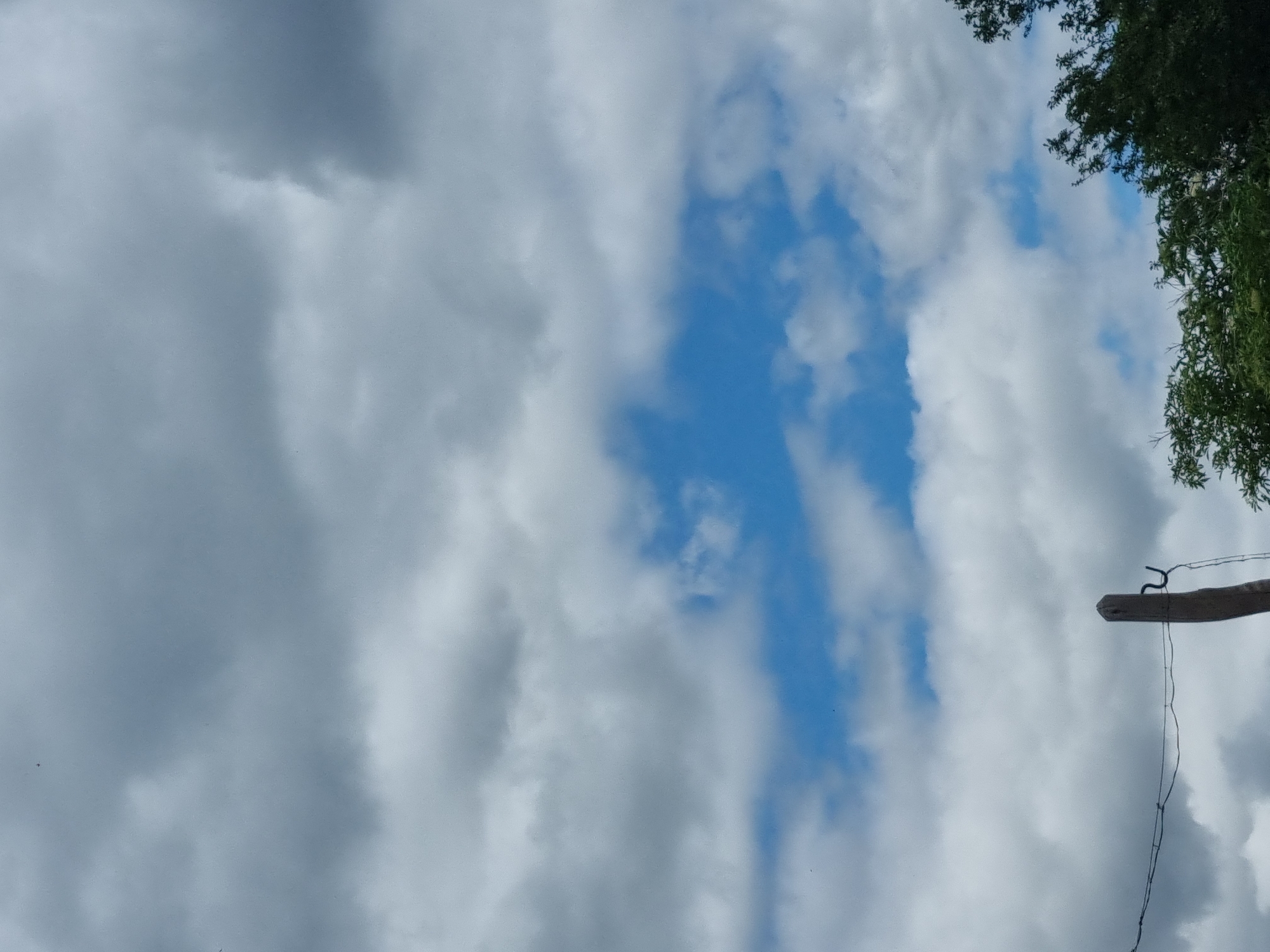 The image captures a cloudy sky with patches of blue visible, suggesting daylight. In the foreground, a wooden post stands vertically, with wires running horizontally across it, possibly part of a fence or utility line. To the right and bottom of the frame, green foliage from trees is visible. The scene appears to be an outdoor setting in a rural or semi-rural area, consistent with a location in Dabravka, Bulgaria. There are no people or animals visible in the image.