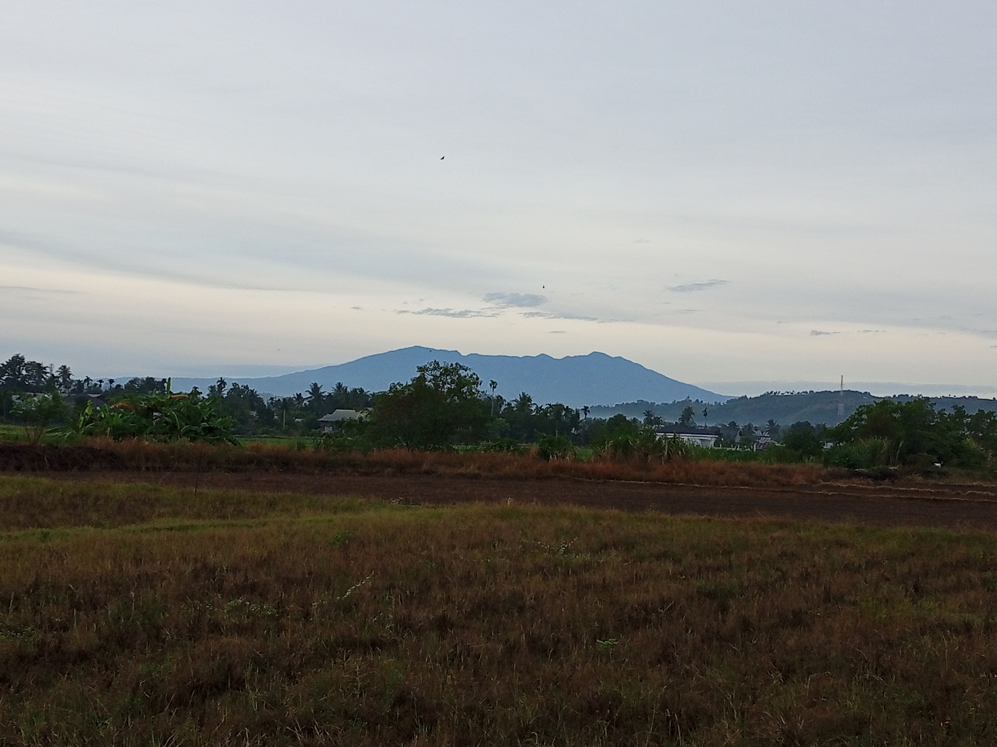 An overcast, muted landscape is depicted, possibly at dawn or dusk, in Geudongalue, Indonesia. The foreground features a field of dry, brown grass and some patchy soil. Beyond this, a darker, tilled strip of land runs horizontally. In the mid-ground, a line of lush green trees and some vegetation is visible, punctuated by a few scattered houses and structures. Dominating the background is a large, hazy mountain range with a soft, blue-gray hue, its form slightly obscured by the atmospheric conditions. The sky above is a pale, cloudy gray, with some subtle horizontal cloud formations. Two distant birds are visible as tiny dark specks in the sky. The overall impression is one of a rural, tranquil, and slightly subdued natural setting.