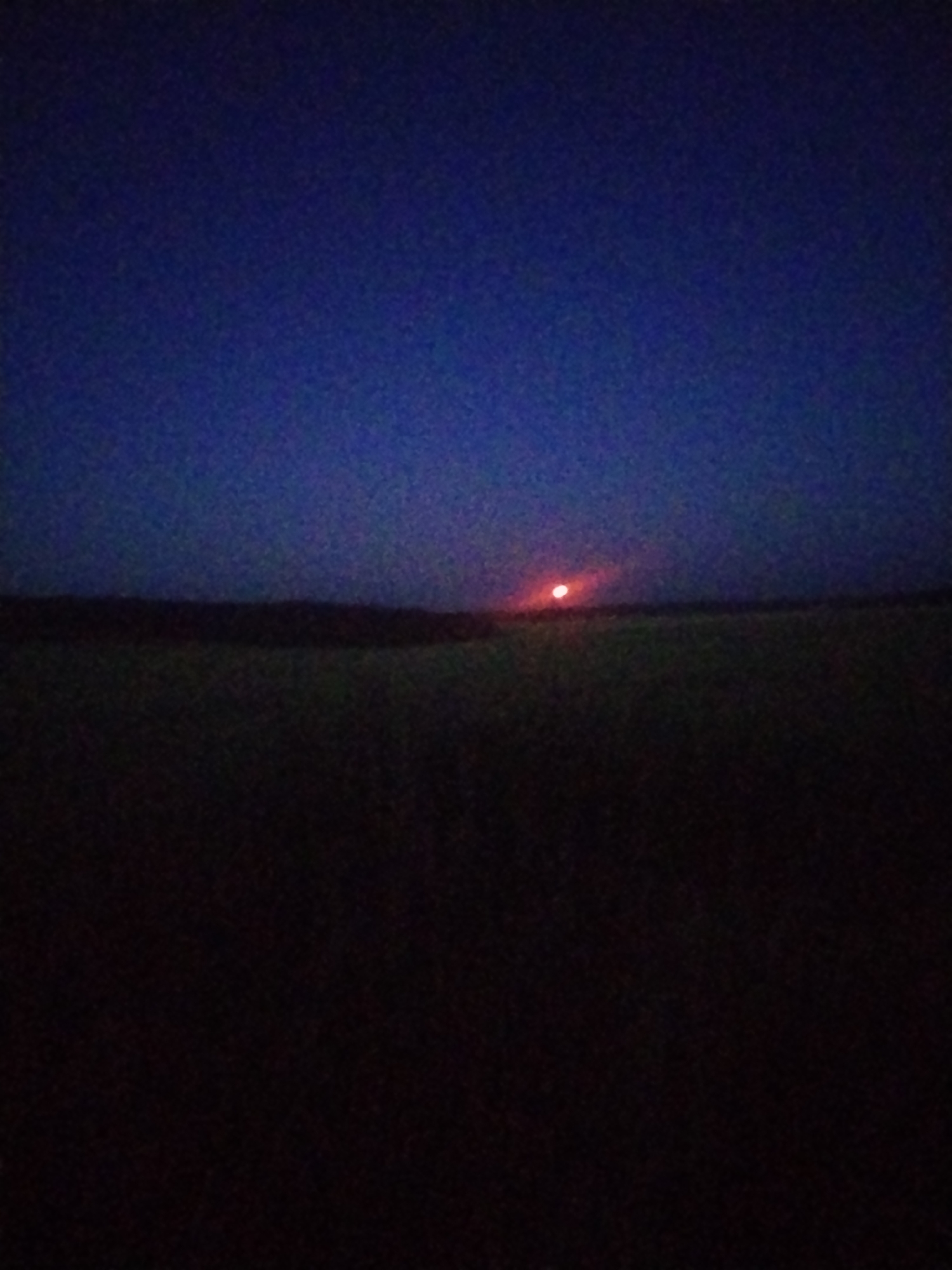 The image depicts a dark, expansive landscape under a deep blue twilight sky. A thin, horizontal band of land, likely a horizon with some vegetation, separates the sky from the foreground. The foreground itself is almost entirely black, suggesting a very low light condition.
The most prominent feature is a small, bright, reddish-orange circular light just above the horizon, slightly to the left of center. This light appears to be the setting or rising sun, casting a faint glow on the surrounding sky. Its intensity suggests it is close to the horizon.
The overall mood is serene and tranquil, characterized by the dim light and the vastness of the sky and land. The darkness of the foreground and the muted colors of the sky imply it is either very early morning or late evening. There are no visible people or man-made objects, contributing to the natural and somewhat desolate feel of the scene. The image lacks any textual information.