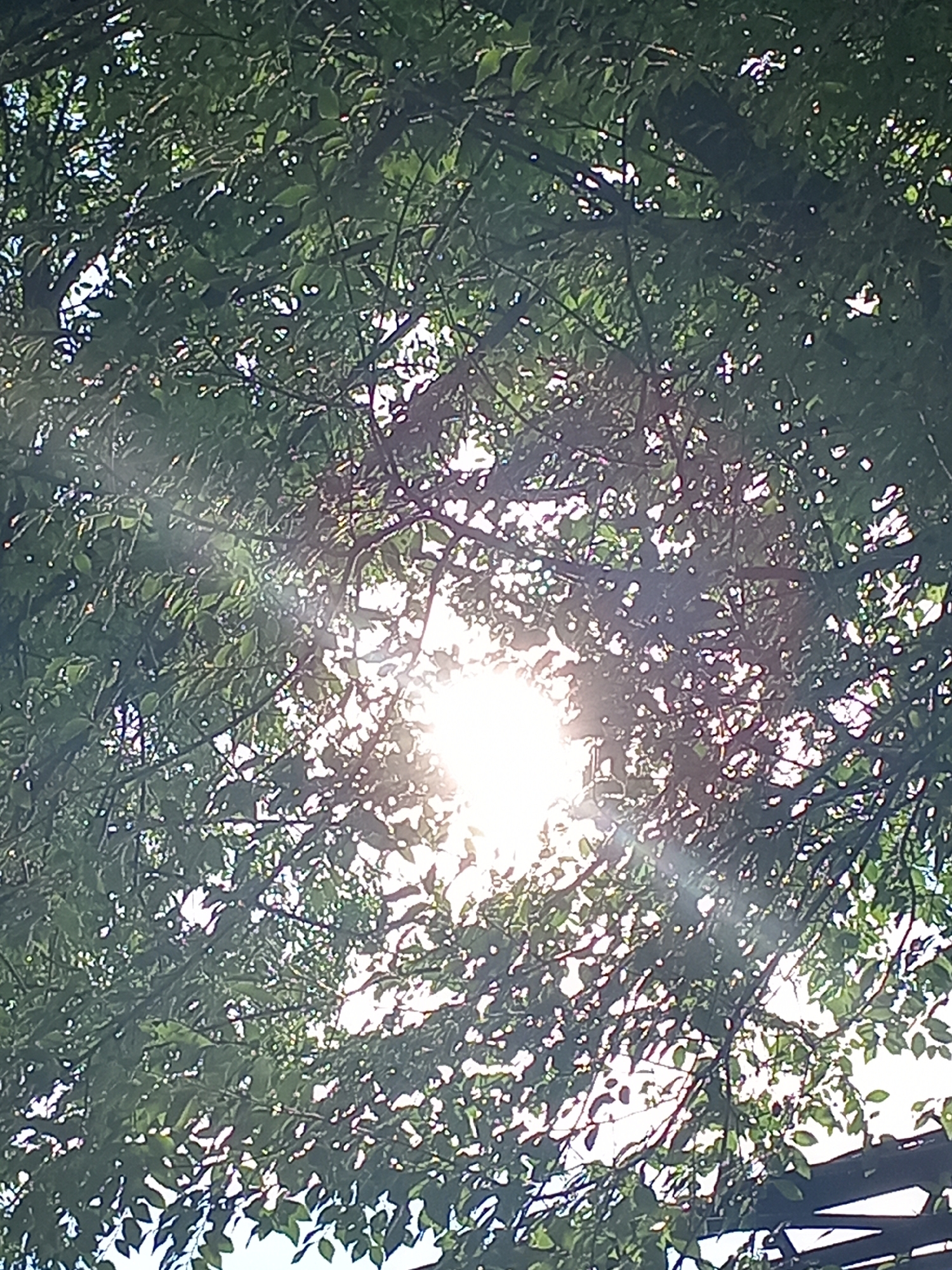 The image depicts sunlight filtering through a dense canopy of green leaves and branches of a tree. The sun itself is obscured by the foliage, creating a bright, lens-flared effect in the center of the frame. The branches and leaves are dark against the bright light, suggesting a natural outdoor environment. There are no discernible people or man-made structures in the immediate foreground, though a hint of a dark, possibly man-made object or structure appears at the bottom right edge of the frame. The overall impression is of a dappled sunlight effect within a leafy environment. The location in Novokuznetsk, Russia, is not visually evident from the image itself.