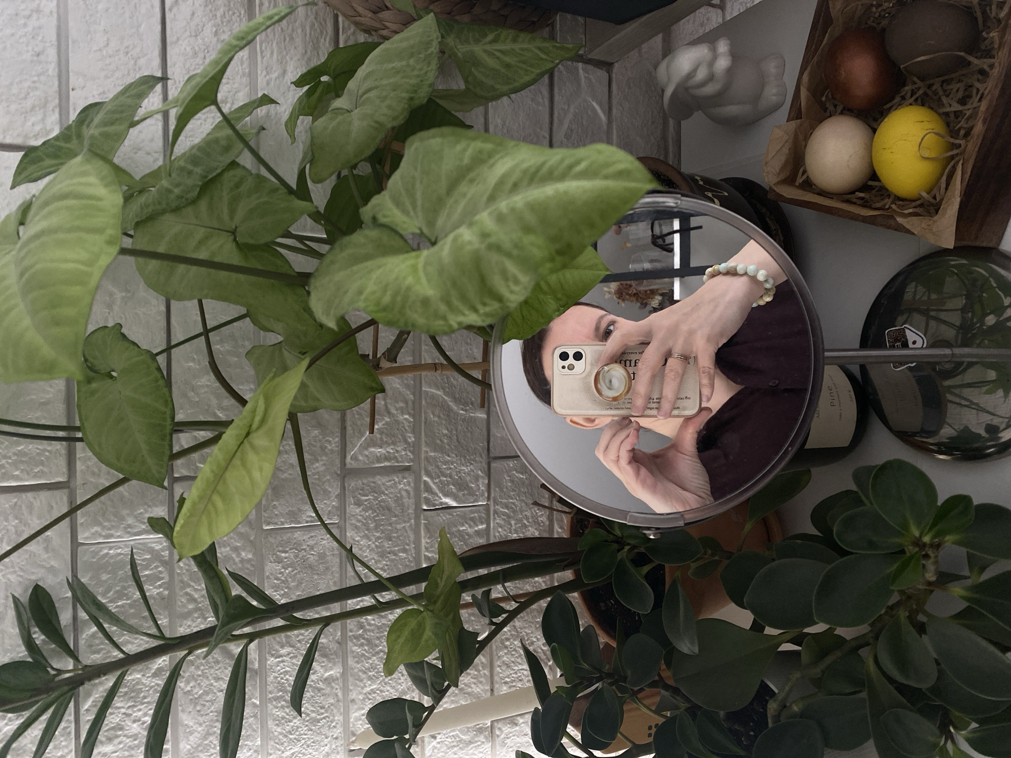 The image shows a scene inside an interior with plants and a mirror reflecting a person holding a smartphone. The person is taking a selfie in the mirror, capturing their face and hand holding the phone. The plants are arranged around the mirror, creating a green, botanical aesthetic. In the upper right corner, there is a wooden box containing eggs and a small ceramic sculpture. The wall in the background appears to be textured. The exact location within the city of Chaikovsky, Russia, cannot be determined from the provided image.