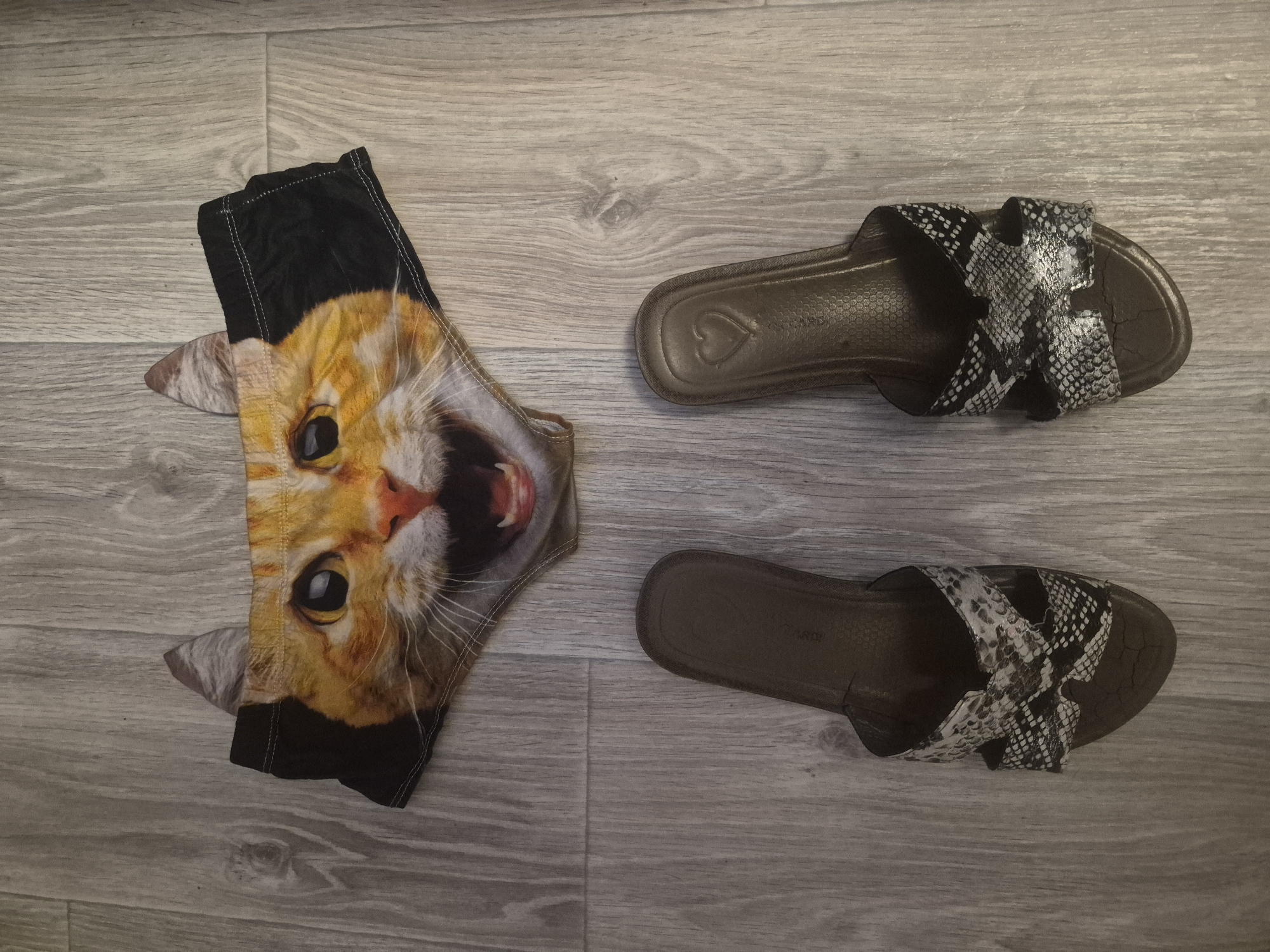 The image shows a pair of women's slides with snakeskin print straps and cat-themed underwear lying on a wood-look floor. No location is provided. There are no people present.