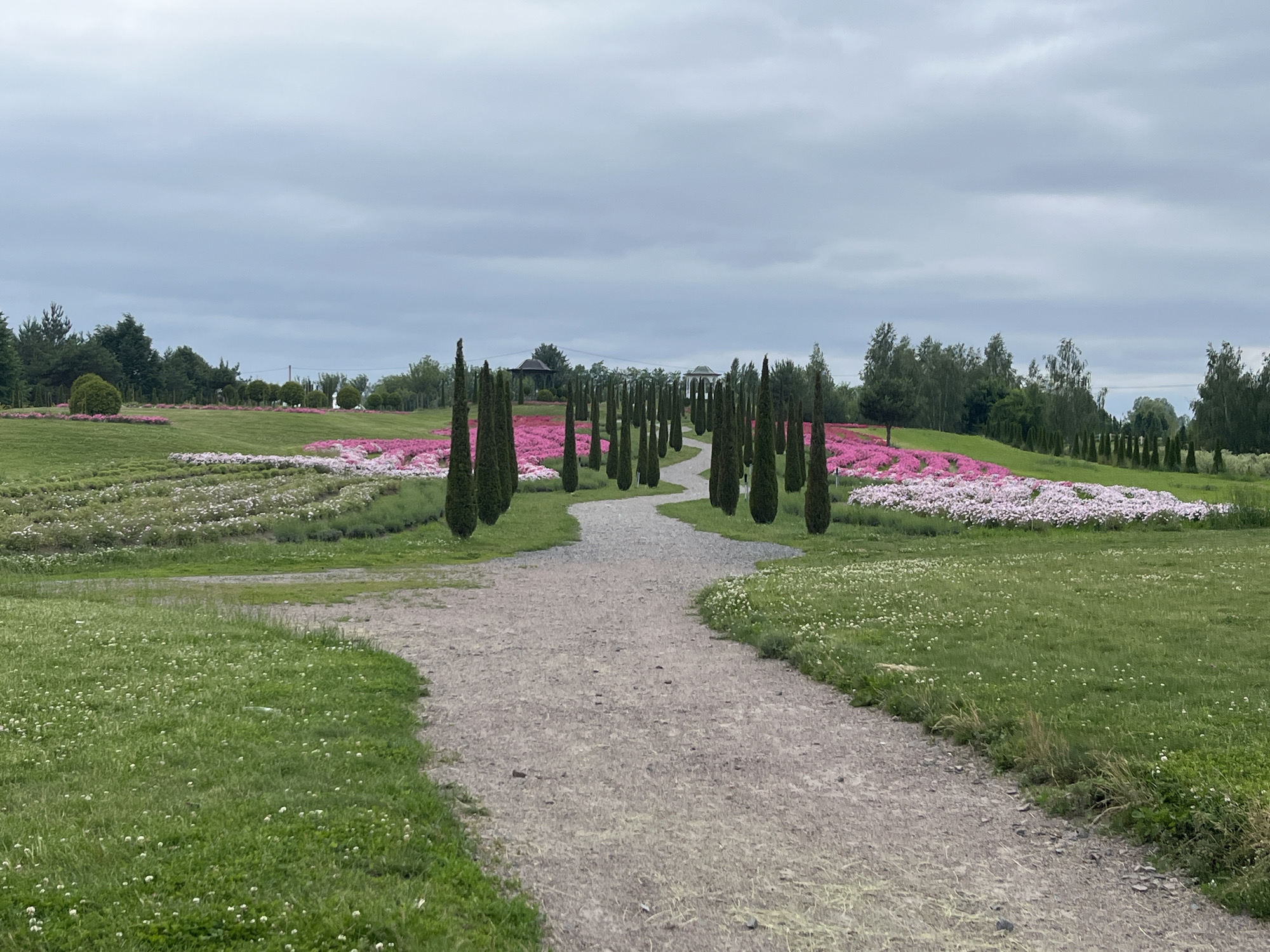 The image shows a park-like landscape with a winding gravel path in the foreground. On either side of the path are rows of tall, conical cypress trees and beds of pink and white flowers. The area appears to be a manicured garden or botanical park. The sky is overcast, suggesting a cloudy day. In the background, there are more trees and some distant structures, possibly gazebos. The environment is rural or semi-rural, consistent with the location in Severynivka, Ukraine. There are no people or animals visible in the image. The scene is static and peaceful.