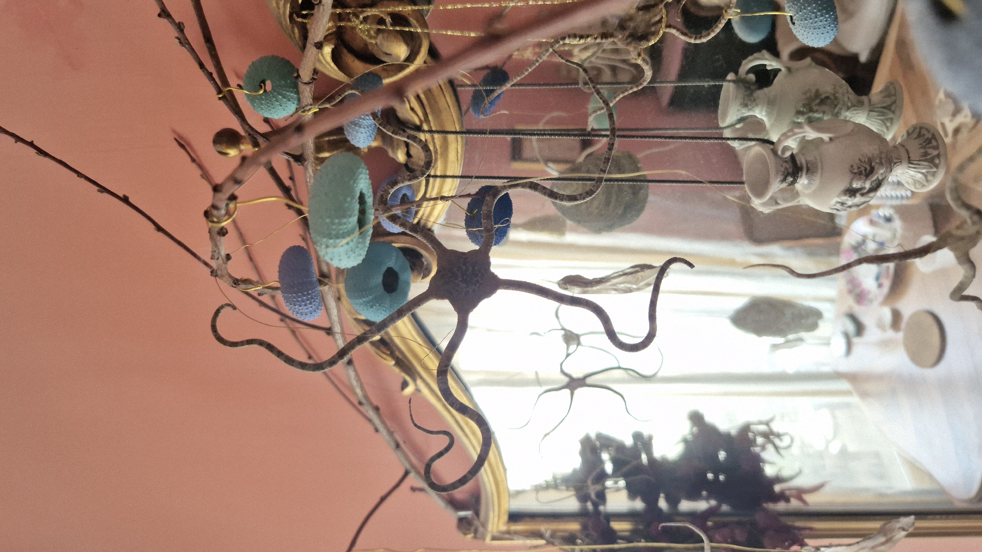 The image shows a collection of natural and decorative objects suspended from branches. In the foreground, a star-shaped object with multiple tendrils hangs prominently, adorned with several blue and teal urchin shells. Other decorative elements, including small vases and what appear to be dried plant materials, are also visible. The scene is set against a pale pink wall and reflected in a large, ornate mirror that reveals a table with a floral plate and some coasters, as well as a window with sheer curtains. The overall impression is of an indoor still life or decorative arrangement. There is no indication of the city of Taranto, Italy in the image or its context.