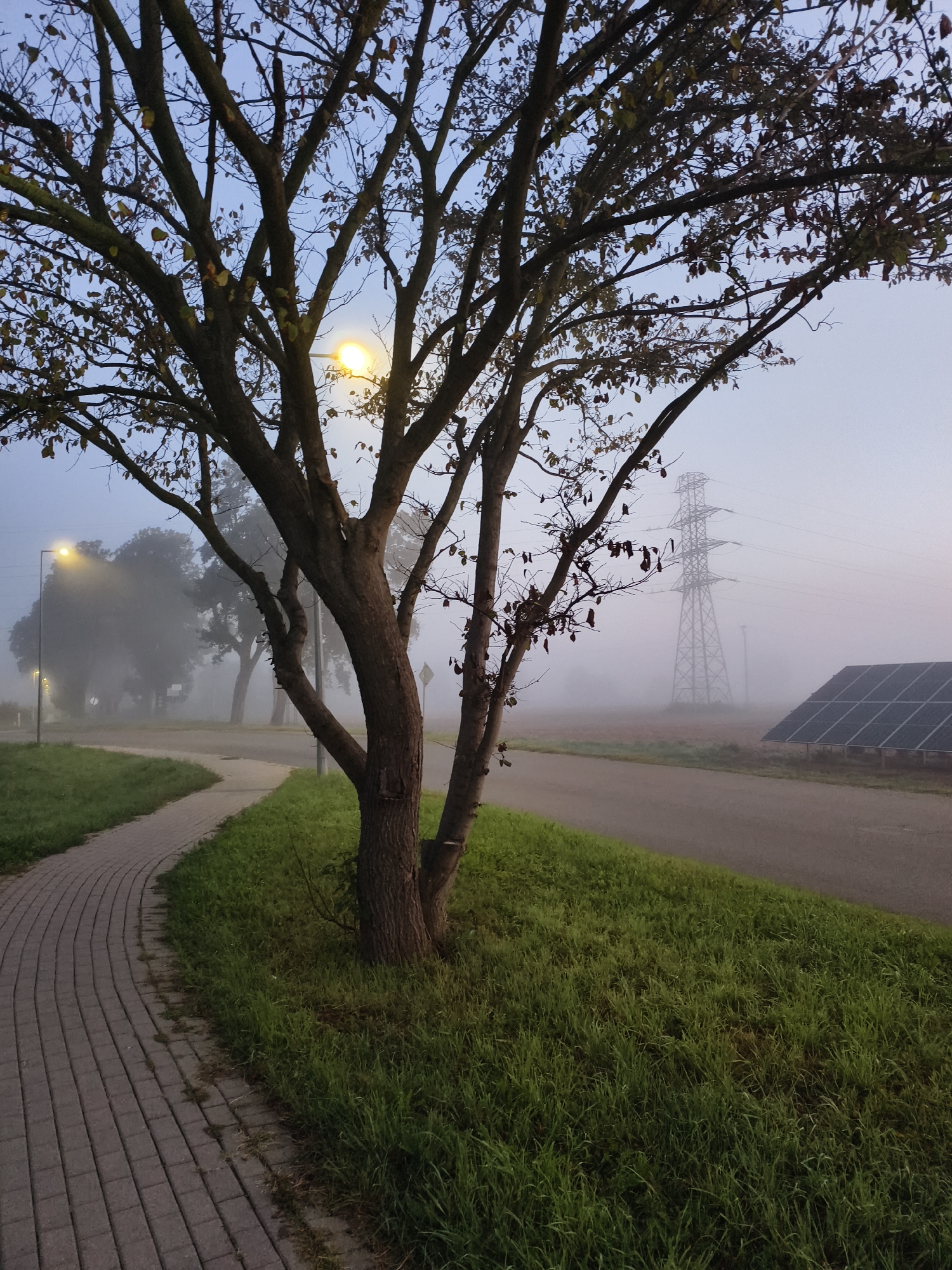 The image depicts a tree with bare branches and a few scattered leaves in the foreground, positioned next to a curving paved walkway. A street lamp illuminates the foggy background, where silhouetted trees and a power pylon are visible. To the right, a solar panel array is situated on the ground, partially obscured by the fog. The scene is set in Tczewskie Łąki, Poland, under a hazy, early morning sky. The overall atmosphere is one of quiet stillness, with the fog lending a muted and somewhat ethereal quality to the landscape.