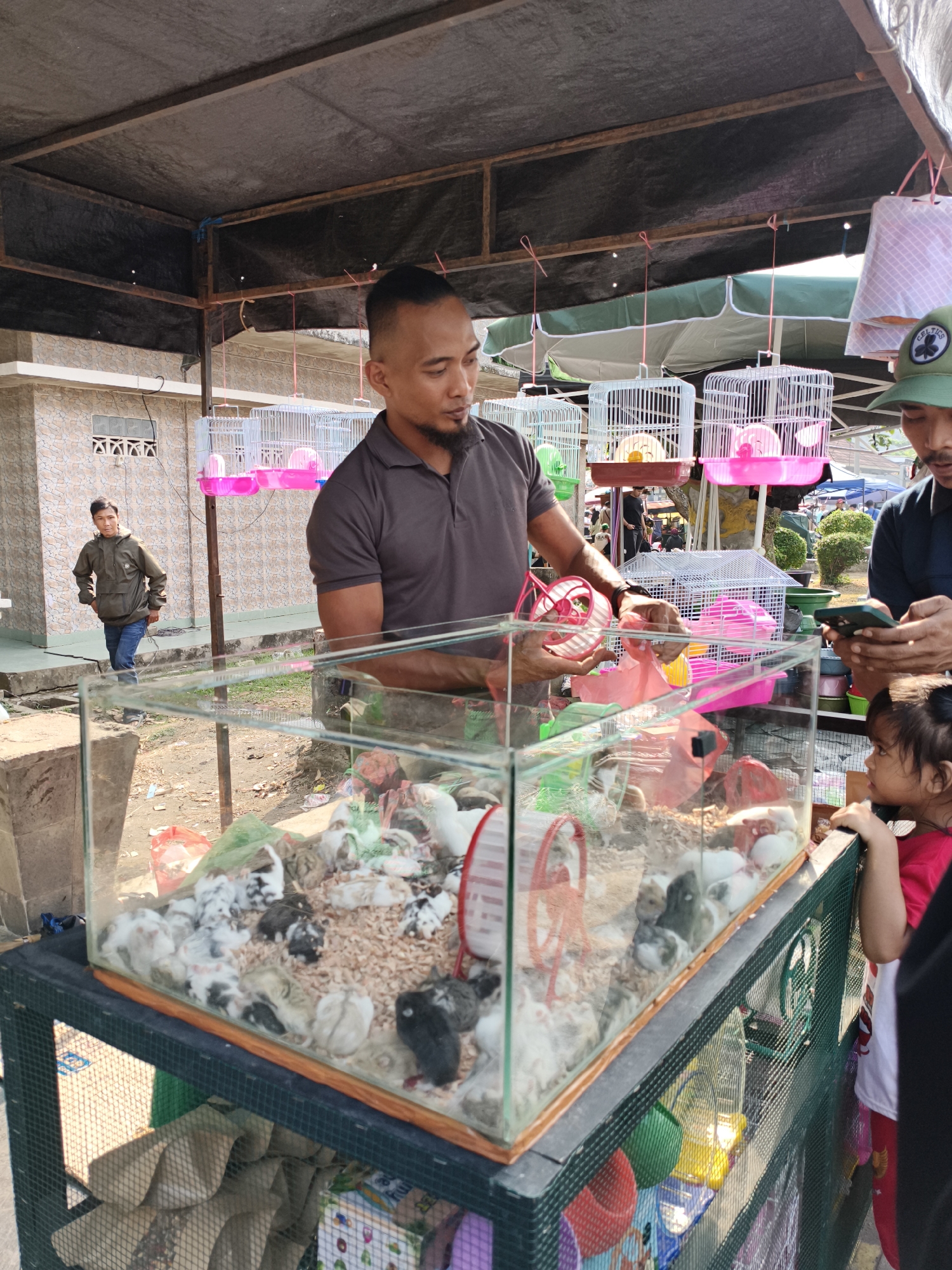 A man is tending to a glass enclosure filled with numerous hamsters at a market stall in Baturaja, Indonesia. The enclosure is filled with wood shavings and several small hamsters, some white, some black, and some patterned, are visible. A red hamster wheel is positioned inside the enclosure. The man, wearing a gray polo shirt, is holding a pink hamster wheel and appears to be interacting with a customer or selecting a hamster. In the background, other market stalls are set up with bird cages and various goods. A young boy in a green jacket stands to the left, observing the scene. A young girl in a red shirt is looking into the enclosure on the right side of the image. The market appears to be outdoors, with a dark tarp covering the stall and other vendors and shoppers visible in the distance.