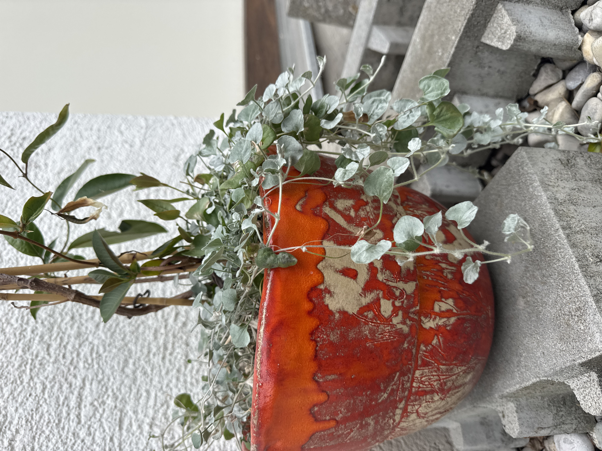 A red and beige textured ceramic pot containing a plant with silvery-green leaves is situated on top of concrete blocks. The pot has a drippy glaze effect. Behind the pot, a textured white wall is visible, with a darker, possibly wooden structure to the right. The plant is cascading over the edge of the pot. The scene appears to be outdoors, possibly in a garden or courtyard area, within the city of Hohenbrunn, Germany. No people are present in the image.