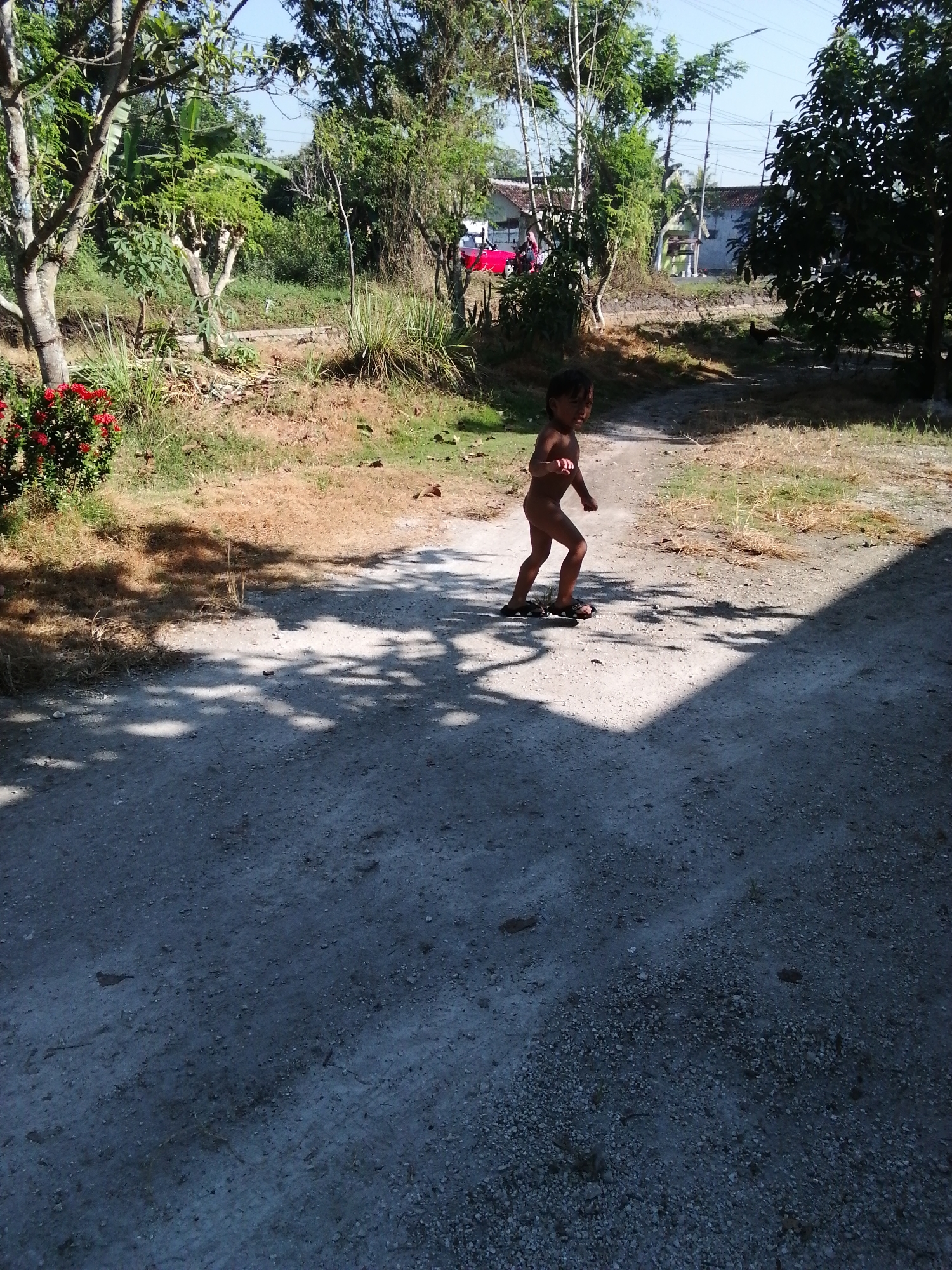 A young child, appearing to be a toddler, stands on a dirt path in a rural area. The child is unclothed and has dark hair. They are wearing dark sandals on their feet. The child is facing to the right of the frame with their body angled slightly towards the viewer. Their right arm is extended slightly forward, and their left arm is bent at the elbow and raised. The path is composed of light-colored gravel and dirt, with shadows from trees falling across it. To the left of the path, there is dry, brown grass and vegetation, with a bush bearing red flowers in the foreground. Behind the child and the path, there is more dry grass, trees, and some buildings in the distance. The sky is visible above the trees and appears to be a clear blue. The overall scene suggests an outdoor environment in a village or countryside setting.
