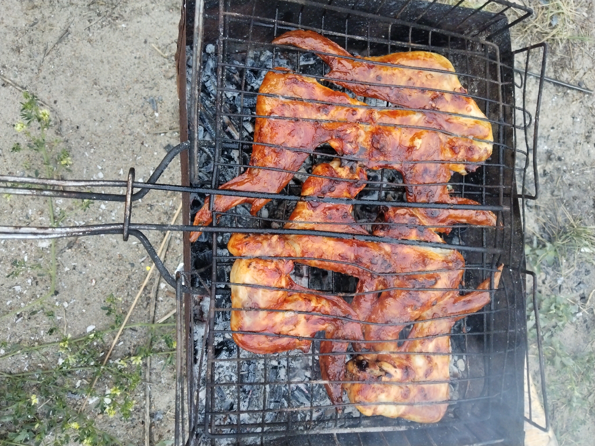 In the city of Зелёное, Russia, chicken wings are being grilled on a barbecue. The wings are coated in a glistening, reddish-brown sauce and are arranged on a black metal grill over glowing charcoal. The grill is placed on the ground, which is covered in sand and dry vegetation. The overall scene suggests an outdoor cooking activity.