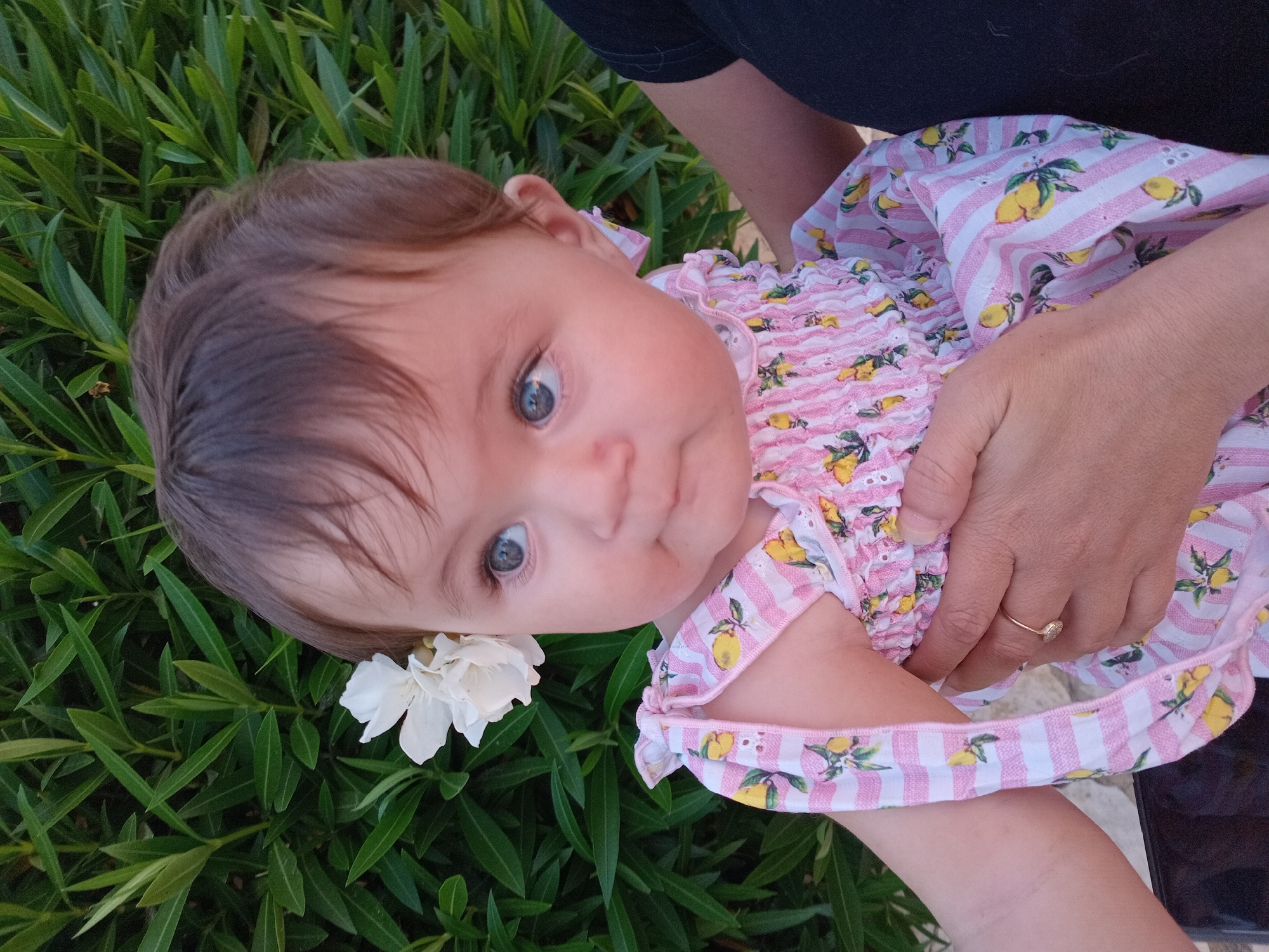 An outdoor, close-up shot captures a baby girl with blue eyes and brown hair, adorned with a white flower behind her ear. She wears a pink and white striped dress with a lemon print and delicate white trim on the straps. The baby is being held by an adult whose hands are visible, one wearing a ring. In the background, lush green foliage provides a natural backdrop. The scene is set in a city garden in Acre, Israel.