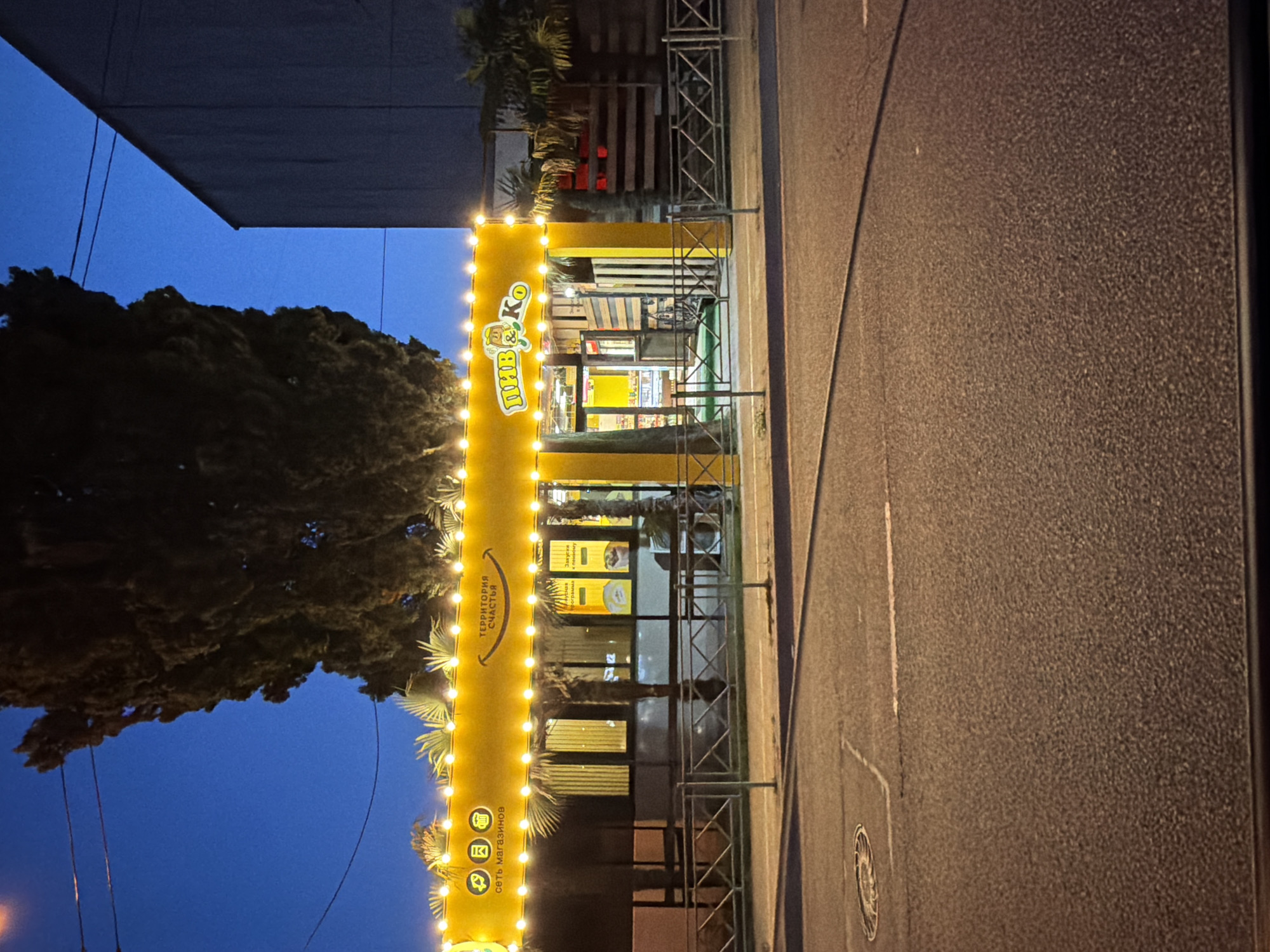 This forensic description details a night scene in Sochi, Russia, featuring a brightly lit yellow commercial building, likely a convenience store or specialty shop. The building's facade is adorned with numerous warm-toned string lights along its top edge, illuminating multiple signs. From left to right, these signs read "СЕТЬ МАГАЗИНОВ" (Chain of Stores) with accompanying icons (a rocket, a building, and a shopping bag), "ТЕРРИТОРИЯ СЧАСТЬЯ" (Territory of Happiness) with a smiley face logo, and prominently "ПИВ & Ко" (Beer & Co). Visible through the large storefront windows are additional internal signs advertising "Вкусная закуска" (Delicious Snack) and "Закуска к пенному" (Snack for Foamy/Beer).
To the left of the building, a very tall, dark, columnar tree, consistent with a cypress, extends upwards into the dark blue evening sky, partially obscuring the upper left frame. Several smaller palm trees are situated around and behind the yellow building, notably on the right side. Immediately adjacent to the right of the yellow structure stands a taller, dark-colored, rectangular building with a plain, possibly industrial, exterior.
In the foreground, an asphalt road with faint white line markings is visible, featuring a circular manhole cover on the left side. A low, metal barrier fence runs parallel to the building, delineating the edge of the street from the pedestrian access area. No distinct individuals are clearly visible within the frame. The overall scene depicts a commercial establishment open and illuminated during twilight or nighttime hours.