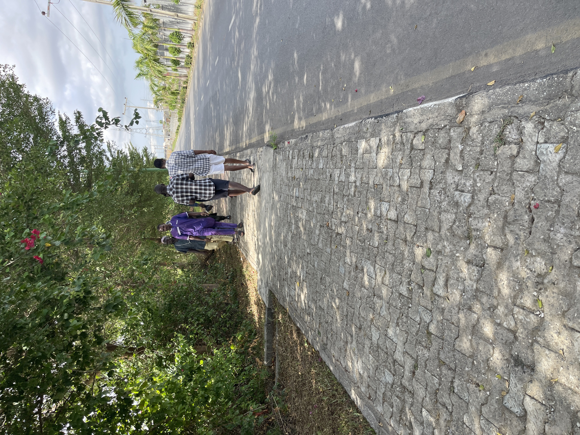 Two men in checkered shirts and shorts walk on the edge of a paved road with a stone-paved sidewalk in Gosa, Nigeria. A third man, wearing a purple shirt and khaki pants, is walking on the left side of them. The road is asphalt, partially shaded by trees. Palm trees line the opposite side of the road, and utility poles are visible in the distance. Lush greenery borders the sidewalk on the left.