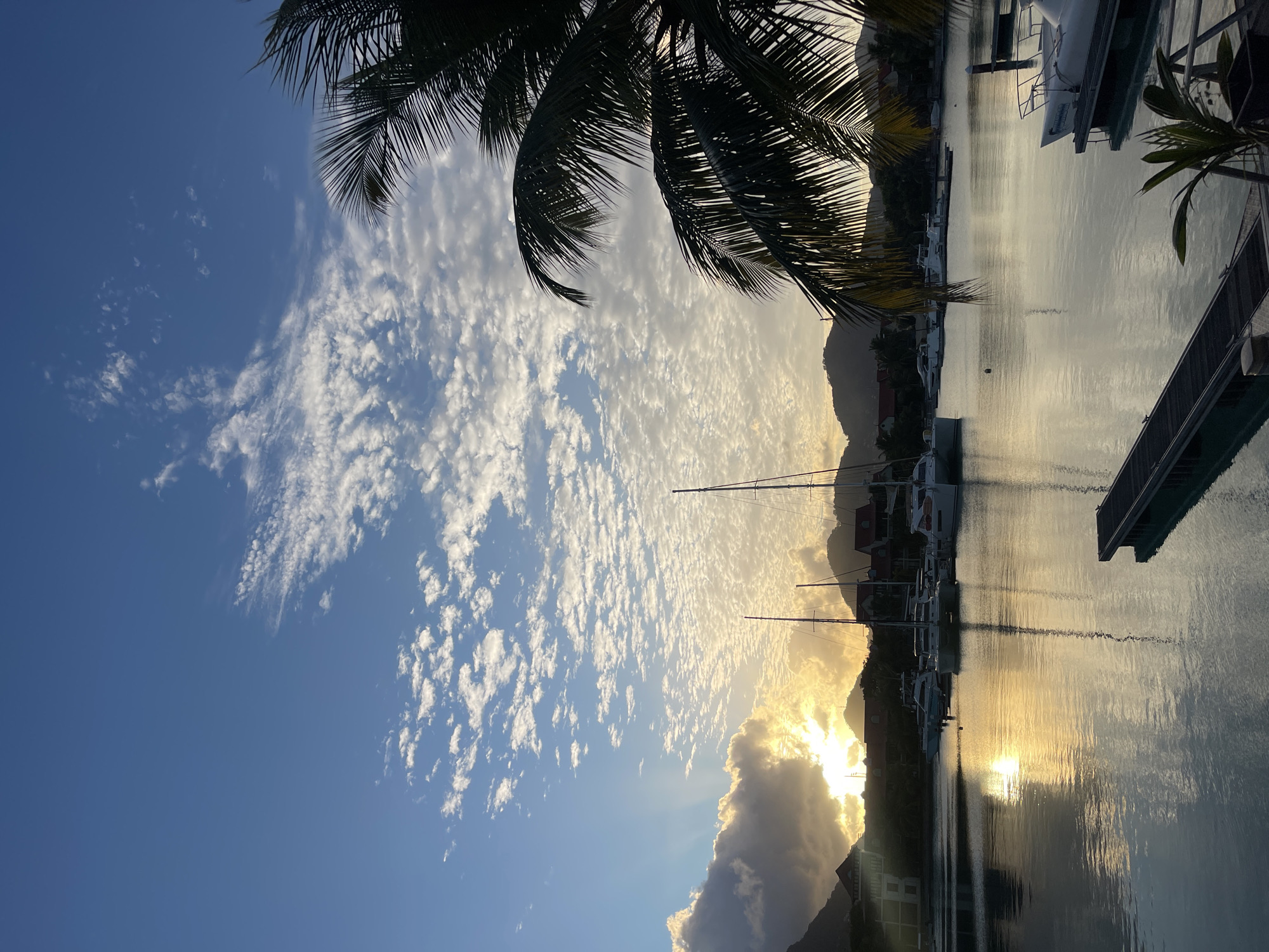 A sunset scene at a marina in Providence, Seychelles, features a wide, calm body of water reflecting the golden hues of the setting sun. Several sailboats and yachts are moored in the distance, silhouetted against a backdrop of lush green hills and buildings. The sky is a vibrant blue, dotted with fluffy white clouds that catch the sunlight, creating a dramatic and picturesque atmosphere. A palm tree's fronds partially obscure the view on the right side of the frame, adding a tropical touch to the overall composition.
