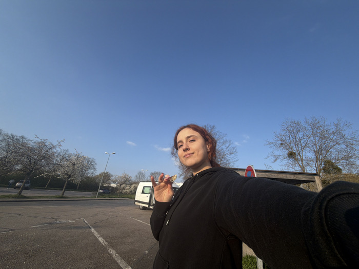 The image displays an outdoor scene located in a parking area within Toul, France, under a clear blue sky. A female individual with reddish-brown hair, wearing a black hooded sweatshirt, occupies the foreground, extending her left arm to capture a selfie. She holds a small, yellowish-golden object between the thumb and index finger of her right hand, exhibiting a slight smile. In the background, a white utility van or camper with an open side door is parked on asphalt marked with white lines. A row of trees, some featuring white blossoms and others with bare branches, defines the left side of the parking lot, with additional vehicles partially visible in the distance. To the subject's right, a tree with visible mistletoe and a partially obscured red and white circular traffic sign are present, alongside a wooden structure. Two street light poles are also visible in the mid-ground. The scene is illuminated by direct daylight.