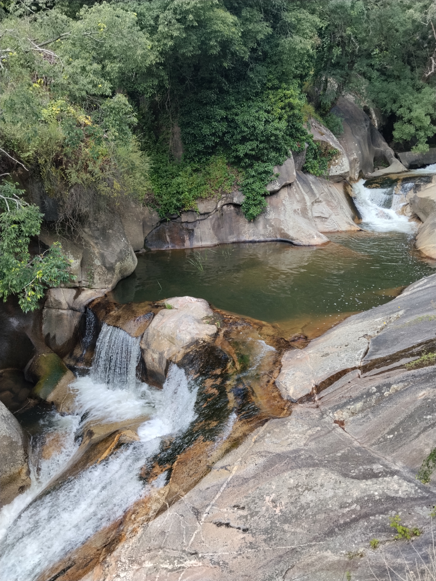 The image shows a natural pool and small waterfall located amongst smooth rocks and foliage. The water is a dark green color. The surrounding area includes trees and various greenery, suggesting a natural, possibly remote location. The rocks are mostly gray and tan in color.
The location is in Alijó, Portugal.