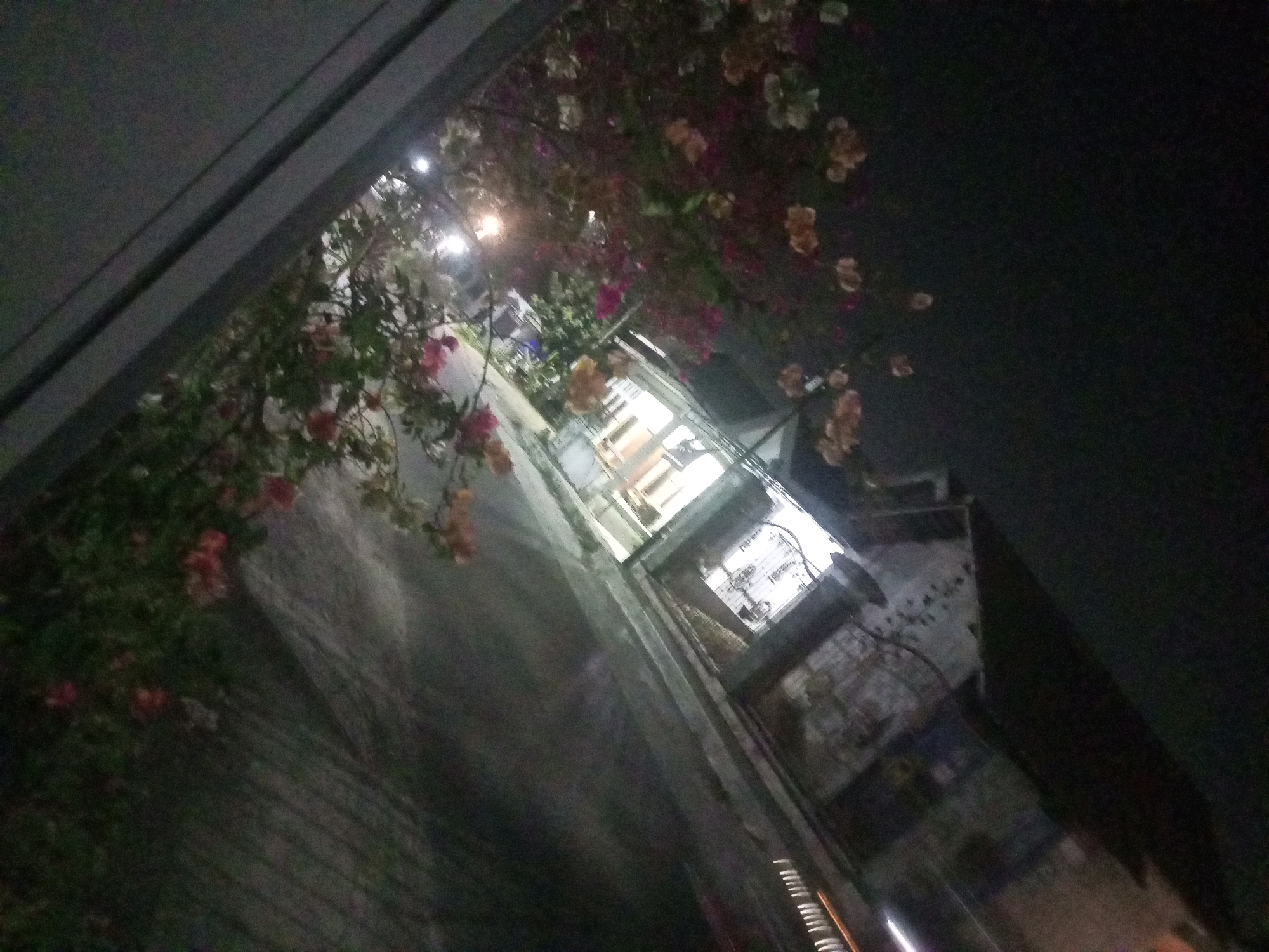 The image, taken at night in Ngasem, Indonesia, depicts an outdoor scene with a focus on a building's facade adorned with flowering plants. The perspective is tilted, looking upwards at an angle towards a multi-story structure. The building appears to be illuminated from within, with bright lights visible through windows, suggesting commercial or residential use. Some of the windows show signs of being screened or covered. The flowering plants, with their pink and peach-colored blooms, cascade down from an upper level, some partially obscuring the building's details and the sky. The overall ambiance is dark, typical of nighttime, with the artificial lights and flowers providing the primary visual elements. The surrounding environment appears to be an urban or semi-urban setting, hinted at by the building structure and the hint of a paved area below the plants. There are no people visible in the frame. The texture of the building walls is rough, possibly brick or concrete, and there is a metallic railing or structure visible in the lower right quadrant.