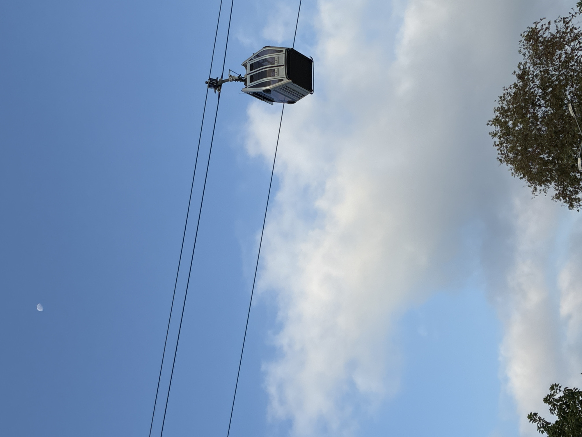 A single cable car, suspended from overhead cables, traverses a blue sky dotted with white clouds. The cable car, a modern design with large windows, is seen from a side angle. In the upper left quadrant of the sky, a crescent moon is visible. The lower portion of the image features the canopy of a large tree with dark green foliage. The scene appears to be set in Alanya, Turkey, as suggested by the presence of cable cars which are a common mode of transport and tourist attraction in the area. The overall impression is one of a clear day with a hint of daytime celestial activity.