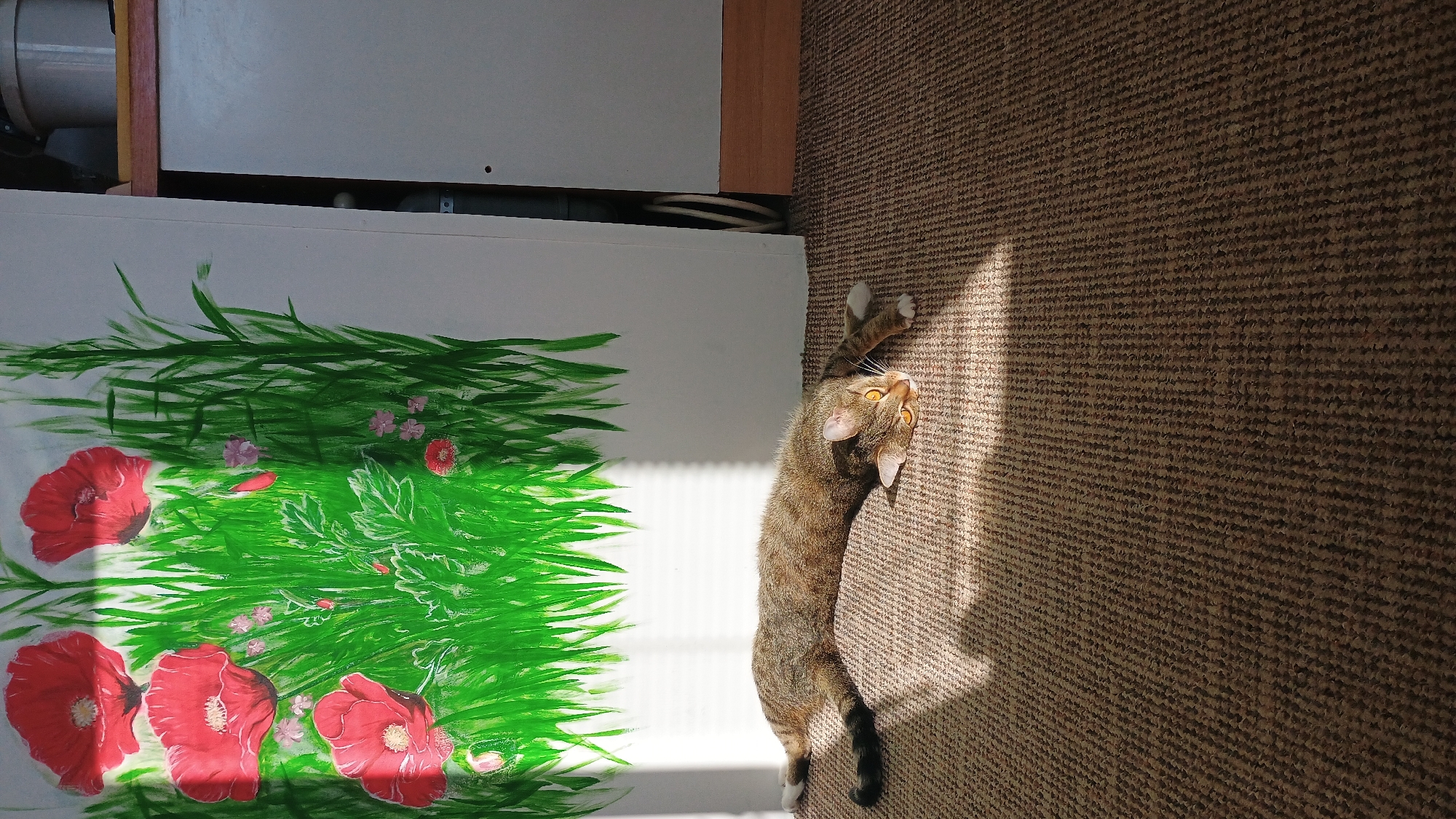 The image depicts a tabby cat lounging on a carpeted floor, bathed in sunlight filtering through blinds. The cat is lying on its side with its legs extended, facing the camera. Its eyes are open and yellow, and its tail is curled. In the background, a wall is adorned with a painting of red poppies and green grass. To the right of the painting, a white cabinet and a portion of a kitchen or utility area are visible. The scene appears to be indoors, possibly in a residential setting in Sokolov, Czechia. The overall lighting suggests a sunny day.