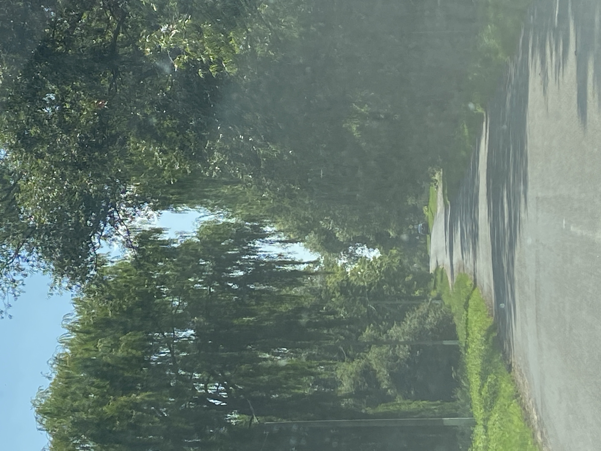 An asphalt road curves through a landscape lined with lush green trees under a bright blue sky. On the left side of the road, tall trees with drooping branches create a canopy, casting shadows. Further down the road, a lighter colored vehicle is visible. The right side of the road is also bordered by dense foliage. The scene appears to be a rural or suburban area in the Лышчыцкі сельскі Савет, Belarus, during daylight.