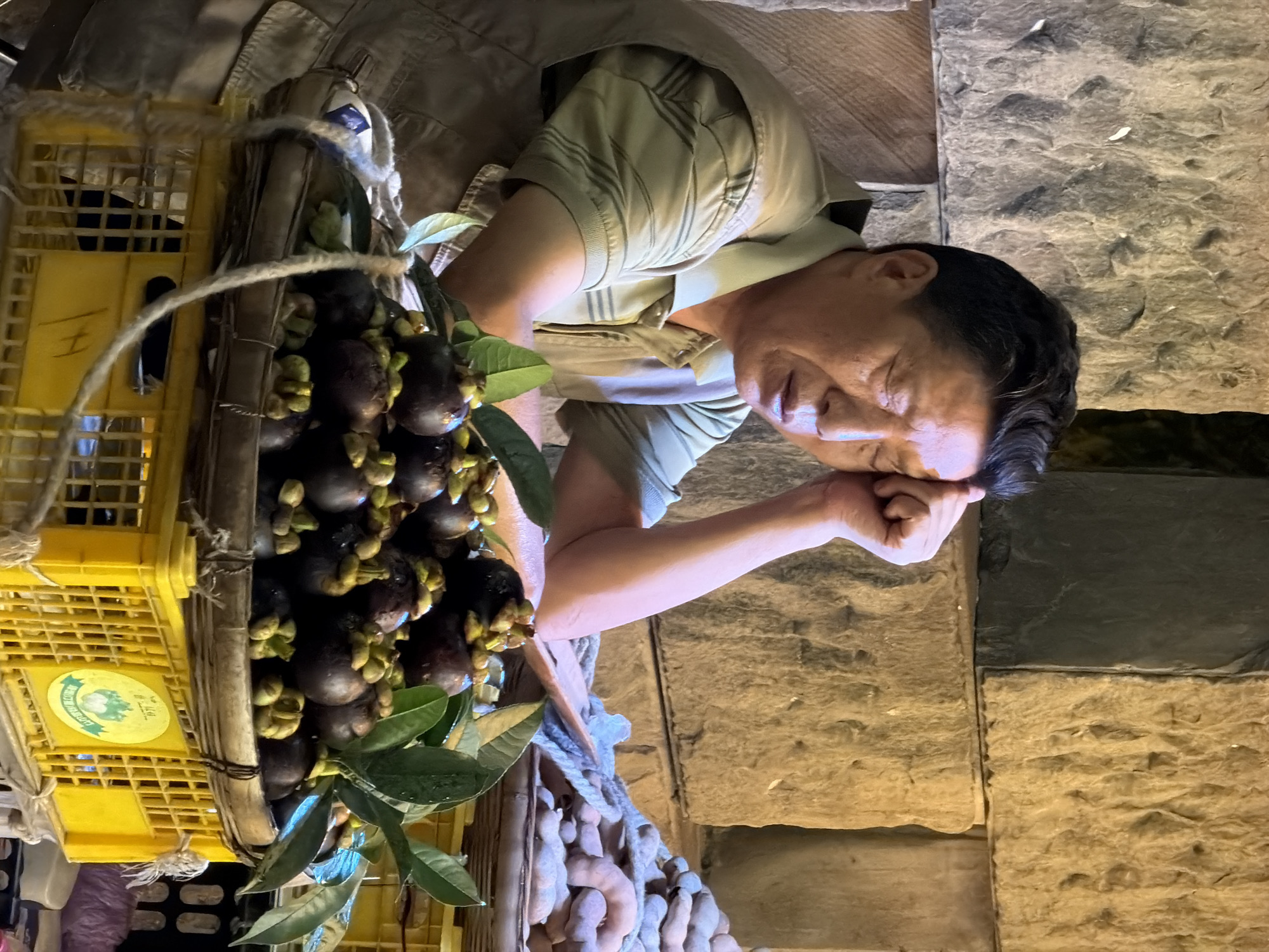 In Yuzhong District, China, an elderly East Asian man, likely a vendor, rests with his eyes closed and his forehead against his right hand, suggesting fatigue or contemplation. He is seated behind a large basket overflowing with dark purple mangosteens, their green calyxes and stems visible. The basket is supported by a bright yellow plastic crate. In the background, a stack of coarse, rough-hewn stones forms a wall, illuminated by warm lighting that casts shadows and highlights the textures of the stone. To the right, another basket is visible, filled with tamarind pods, their brown, curved shells indicating ripeness. The overall atmosphere is that of a busy marketplace, with the man appearing to take a moment of respite amidst his produce.