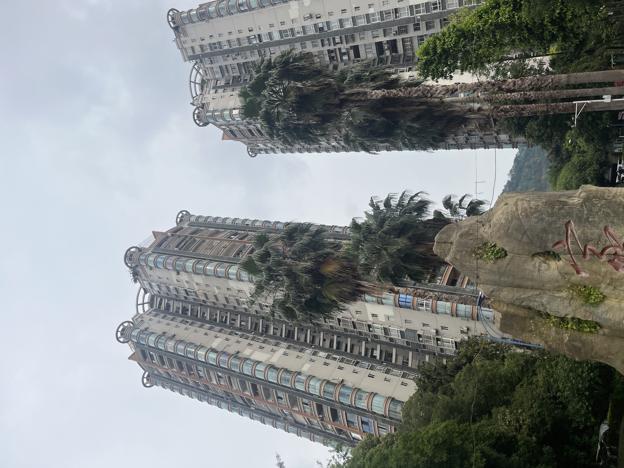 The image shows two tall, light-grey apartment buildings, likely residential, in Jiangjin, China. Palm trees stand in front of each building, partially obscuring the facades. The buildings have a distinct architectural style with rounded balconies and decorative elements on the roof. The sky is overcast, suggesting a cloudy day. Green trees and vegetation fill the lower portion of the frame, surrounding a large, light-colored rock-like structure with some writing or markings on its surface. The angle of the photograph is looking upwards, emphasizing the height of the buildings. No people are visible.