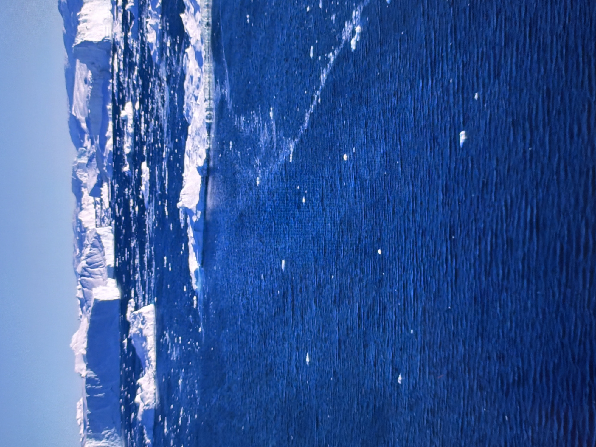 The image depicts a bright, sunny day with a clear blue sky above a vast expanse of deep blue water. The water is rippled, indicating a light breeze. Scattered across the water are numerous small ice floes, some appearing as white specks and others as larger, irregularly shaped white masses. In the background, a prominent ice shelf stretches across the horizon, its top edge lined with a mountainous terrain covered in snow and ice. The ice shelf is a brilliant white, contrasting sharply with the dark blue water. The overall scene is of an arctic or Antarctic environment with a large ice formation dominating the background and smaller ice fragments in the foreground. The image does not depict any elements related to the city of Kyiv, Ukraine.