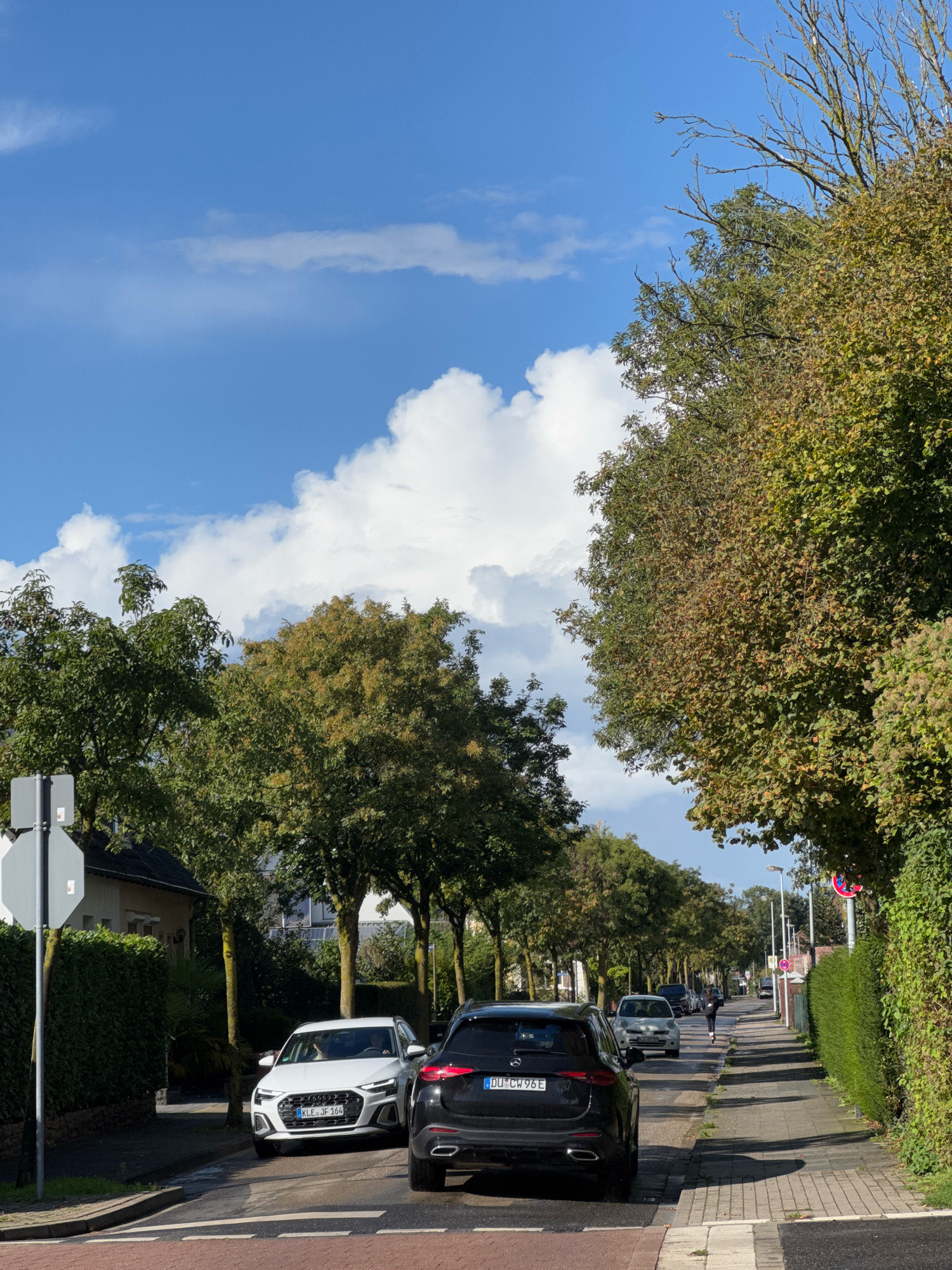 A street scene in Cleves, Germany, captures a residential area with trees lining both sides of the road. The sky is a vibrant blue with fluffy white clouds. On the left, a white car with license plate "KLE JF 164" is parked, partially obscuring a dark-colored car with license plate "DU CW 96E." A pedestrian walks along the sidewalk on the right, passing by manicured hedges. The presence of a stop sign further indicates this is likely a neighborhood street. The foliage on the trees suggests it is either late summer or early autumn, as some leaves are beginning to change color.