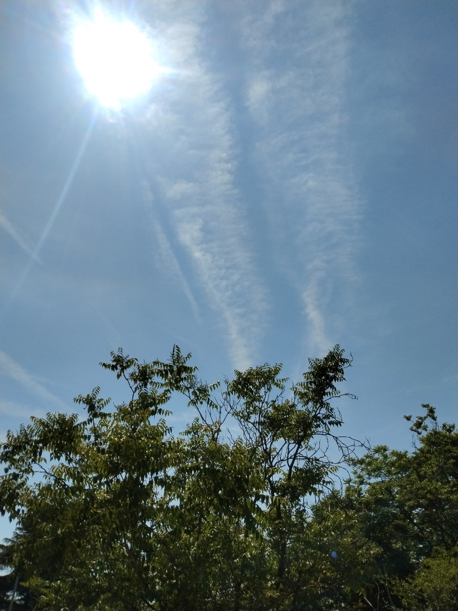 The image displays a vibrant outdoor scene on a sunny day, featuring a bright blue sky and verdant trees. The sun is a dominant subject, shining intensely from the upper-left corner of the frame, appearing as a brilliant, overexposed orb with prominent lens flare rays extending downwards and outwards.
The sky is a clear, light blue, with several wispy, white clouds scattered across it. Some of these clouds form distinct, elongated streaks, particularly in the upper and mid-right sections of the sky.
In the lower half of the image, the dense, green foliage of several trees fills the frame. The leaves appear lush and healthy, suggesting a warm season. Bare branches are visible between clusters of leaves. The overall impression is one of a bright, clear day, likely late morning or early afternoon, given the sun's high position and intensity.
No people, discernible objects beyond the natural elements, or visible text are present. The scene is a simple yet striking capture of a natural landscape under a bright sun. The location is contextualized as Sarıyer, Turkey.