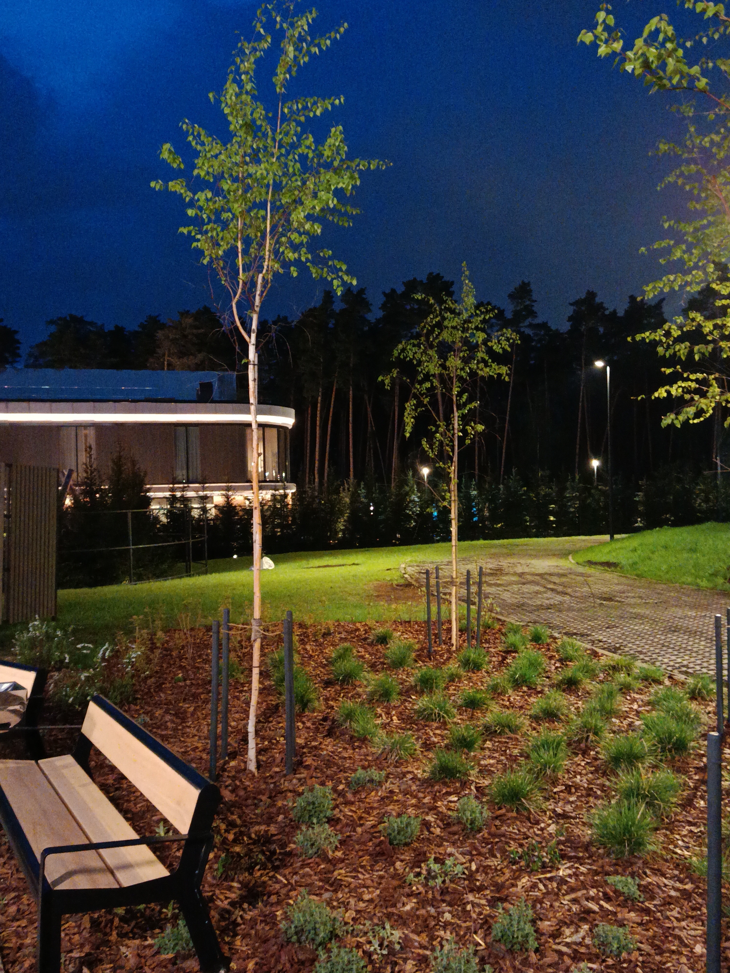 This nighttime shot depicts a park or garden setting in Razdory, Russia. A wooden bench with black metal supports is visible in the foreground. Behind the bench is a bed of mulch dotted with small green plants and several young trees, each supported by protective stakes. A paved walkway leads into the background, flanked by a green lawn and trees. In the distance, a modern building with illuminated trim is partially visible, set against a backdrop of dark trees, possibly a forest. Streetlights are positioned along the path. The sky is a dark blue, indicating dusk or nighttime.