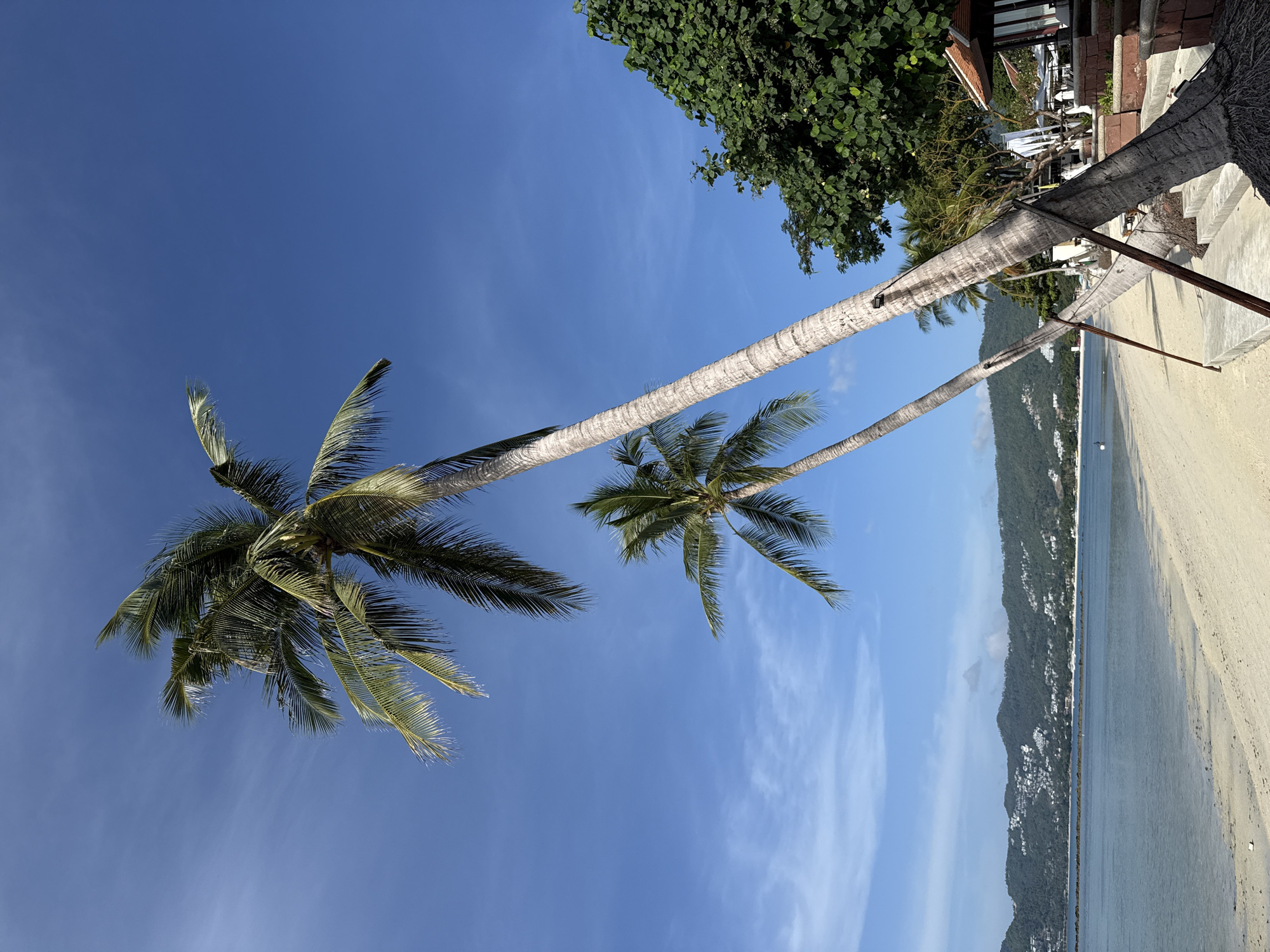 A daytime, eye-level, wide shot shows two palm trees leaning over a sandy beach on the coast of Ko Samui District, Thailand. The palm trees are on the right side of the image, with the one in front leaning diagonally to the right, and the one behind it leaning diagonally to the left. The fronds of the palm trees are green and spiky, with some areas of shadow. The sand on the beach is light brown and appears dry. In the background, there is a calm, blue ocean that extends to the horizon. Beyond the ocean, there are rolling green hills covered in trees and buildings, which are characteristic of the Ko Samui landscape. The sky is a clear, bright blue with a few wispy white clouds. On the right side of the image, there is a building with a red tiled roof and outdoor seating area, suggesting a restaurant or resort. The overall impression is one of a tranquil tropical beach scene.