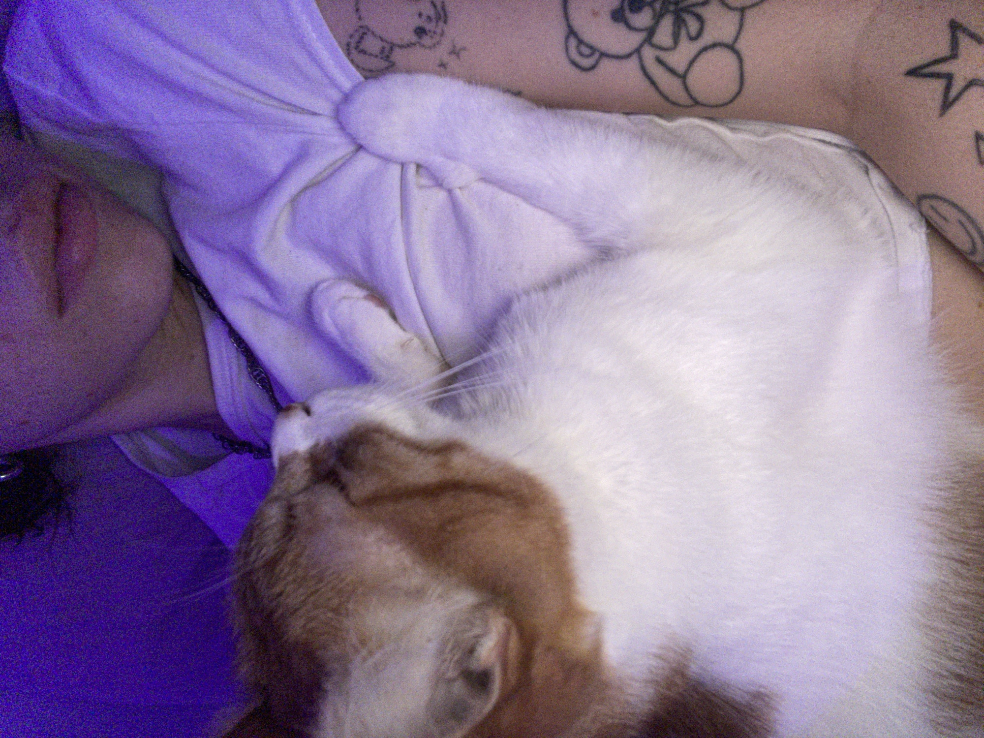 A person with light skin is lying down with their lips visible in the lower left corner of the image. They have tattoos of cartoon bears and a star on their shoulder and chest area. A white and brown cat is lying on the person's chest, with its head resting on the person's shoulder. The scene is bathed in a blueish-purple light. No specific information indicates the location as Buenos Aires, Argentina.