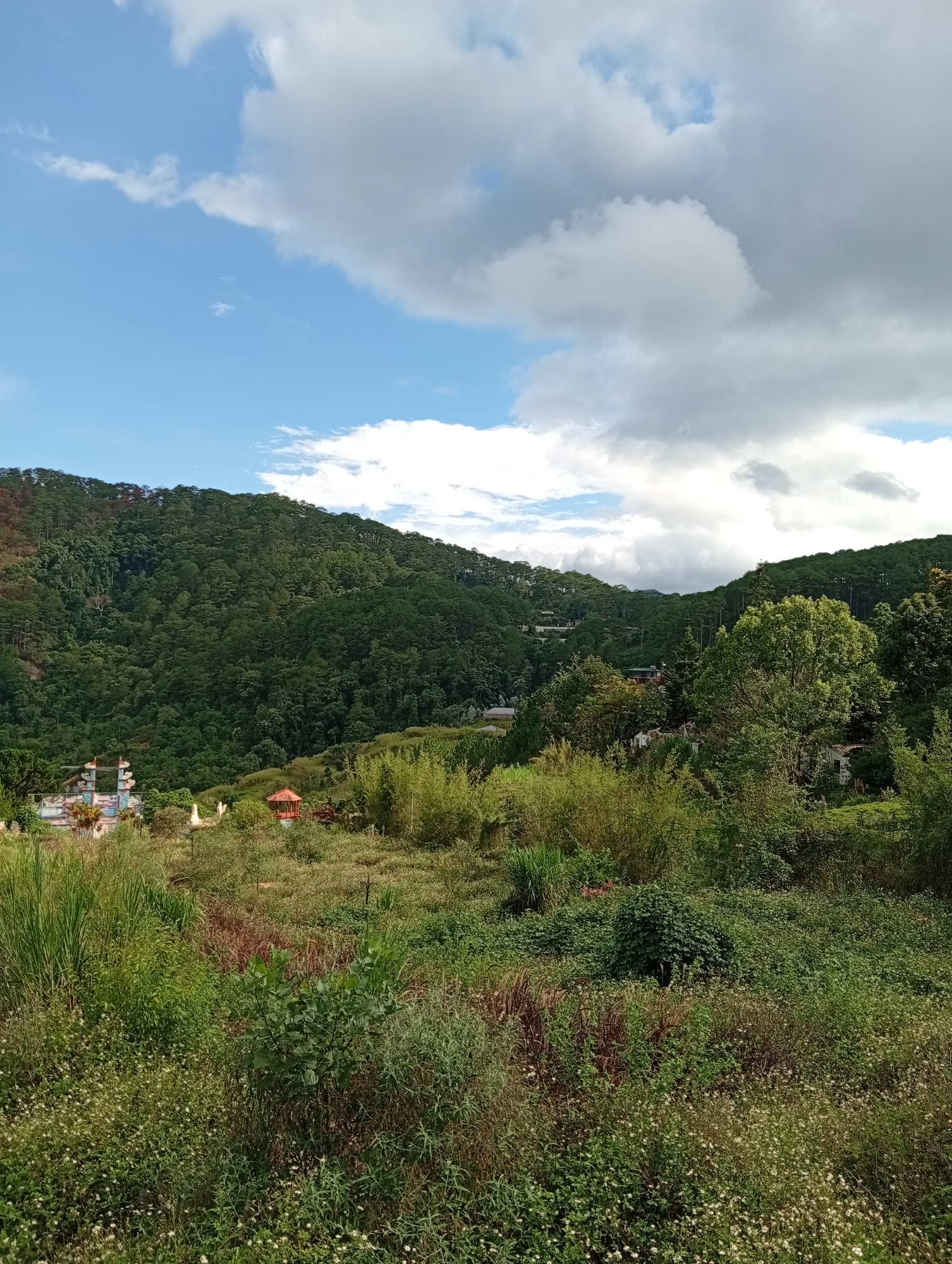 The image presents a landscape in Da Lat, Vietnam. The sky is partially cloudy with patches of blue sky visible. The foreground is dominated by lush greenery consisting of various plants and grasses. In the mid-ground, there's an array of trees and shrubs. In the background, a forested hill rises, dotted with some structures and buildings. To the left is an installation with a white spiral structure and a red-roofed pavilion.