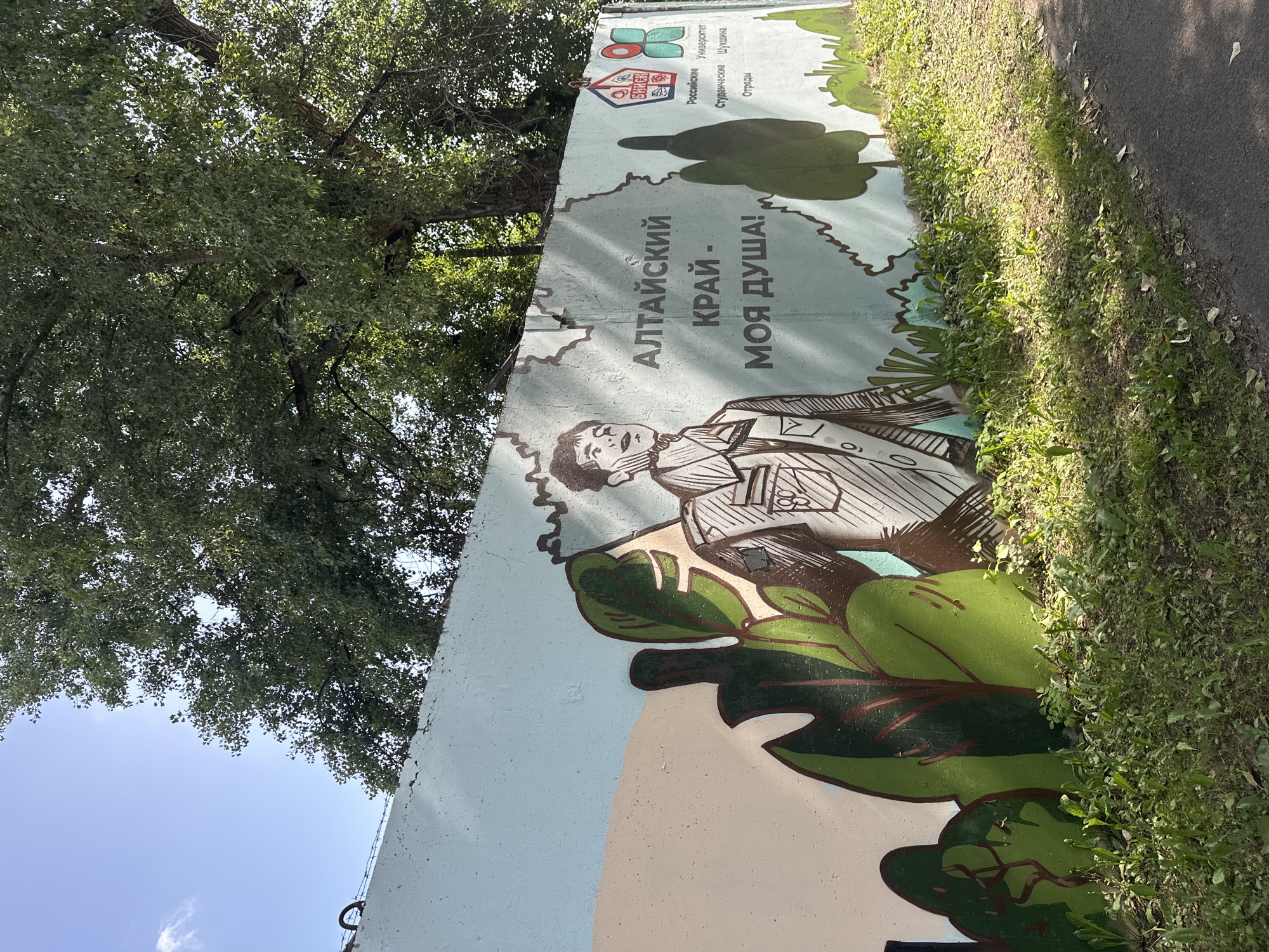 The image depicts a colorful mural painted on a concrete wall in Biysk, Russia. The mural features a stylized illustration of a young man in a uniform, along with text in Russian that translates to "Altai Krai - My Soul!". Various green foliage elements are also incorporated into the artwork. In the background, a large tree with dense foliage provides shade. The wall is topped with barbed wire, and a patch of overgrown grass and dirt is visible at its base, adjacent to an asphalt path. The scene is illuminated by natural sunlight, casting shadows on the mural.