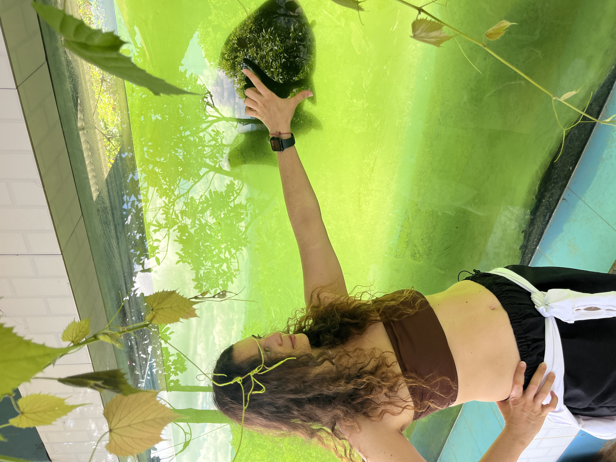 An adult female with curly brown hair is standing in front of a large, bright green glass enclosure. She is wearing a brown strapless top and black pants with a white sash tied around her waist. Her left arm is bent at the elbow, with her hand on her hip. Her right arm is extended towards the glass, with her hand touching the surface. The glass reflects a scene of trees and sky. The enclosure appears to be some kind of display or habitat. The floor is tiled in blue and white. Green vines with leaves hang into the frame from the top of the image. The scene is likely an outdoor or semi-outdoor location.