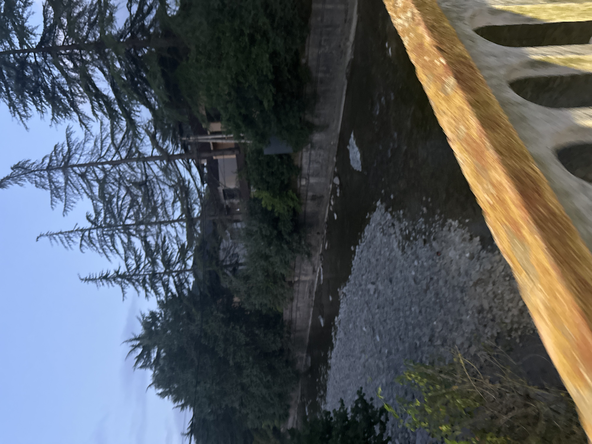 The image depicts a serene river flowing through a vegetated area, possibly within a city. The riverbanks are lined with stone walls and lush green trees, some of which are tall and slender conifers. In the foreground, a stone railing with a wooden top borders the scene, suggesting a bridge or walkway overlooking the river. The sky is overcast, indicating either early morning or late evening. The water appears calm, with a visible stony bed on the left side. Buildings are visible in the background, partially obscured by trees, suggesting the presence of residential or commercial structures. There are no people or animals visible in the frame, and no specific actions or interactions are taking place. The overall impression is one of natural beauty integrated within an urban or semi-urban environment.
