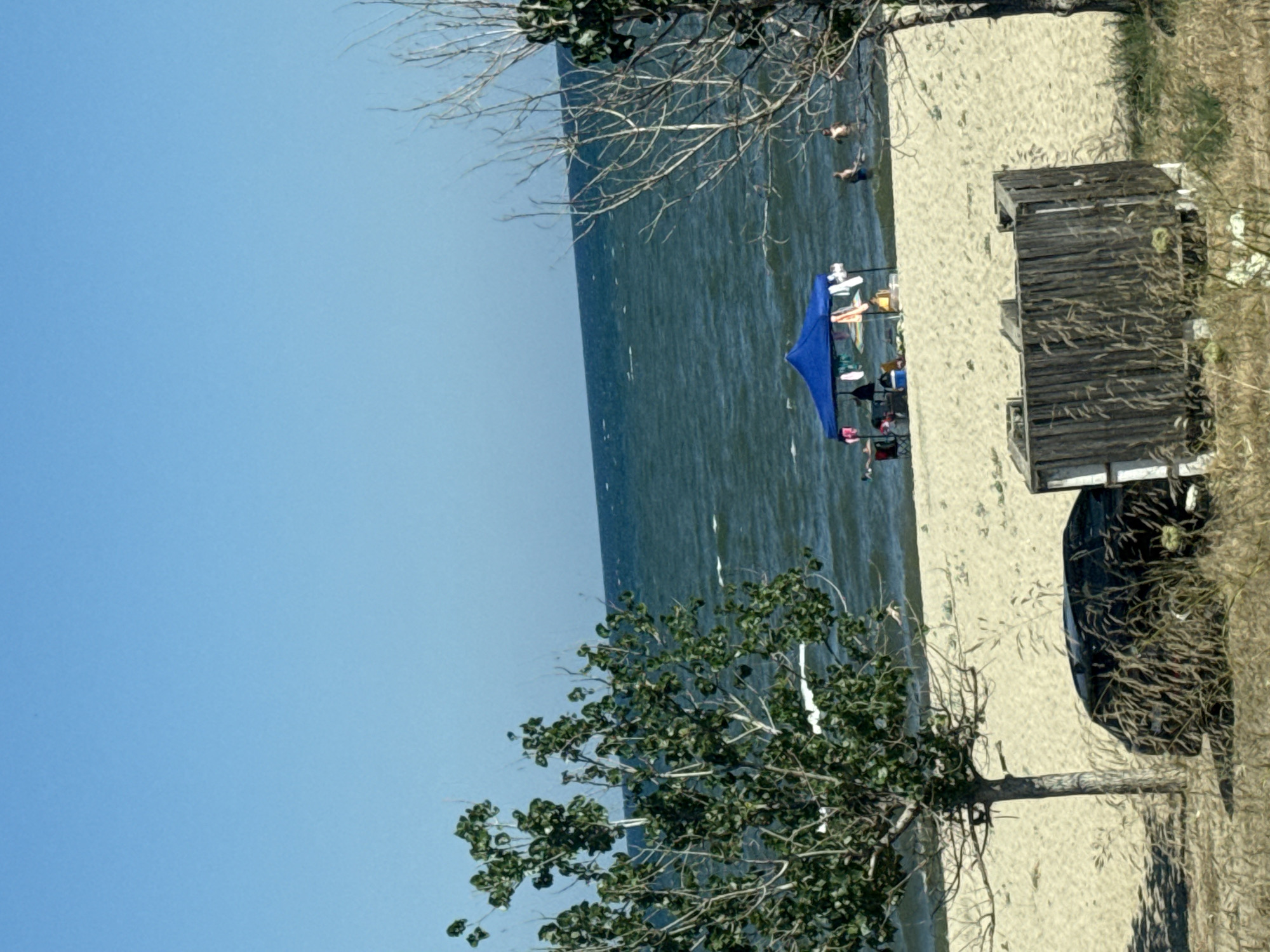 The image depicts a beach scene on a sunny day. In the foreground, tall dry grass obscures the lower portion of a dark-colored car and a weathered wooden structure, possibly a changing booth. Behind this, a sandy beach stretches towards the water. Several trees with green leaves stand on the left, while a tree with bare branches is visible on the right. In the middle ground, a blue canopy tent is set up on the sand near the water's edge, with chairs and towels visible beneath it. A few people are in the shallow water, some standing and others appearing to swim. The sea is a deep blue with moderate waves under a clear blue sky. The location is identified as Nea Kerdylia, Greece.