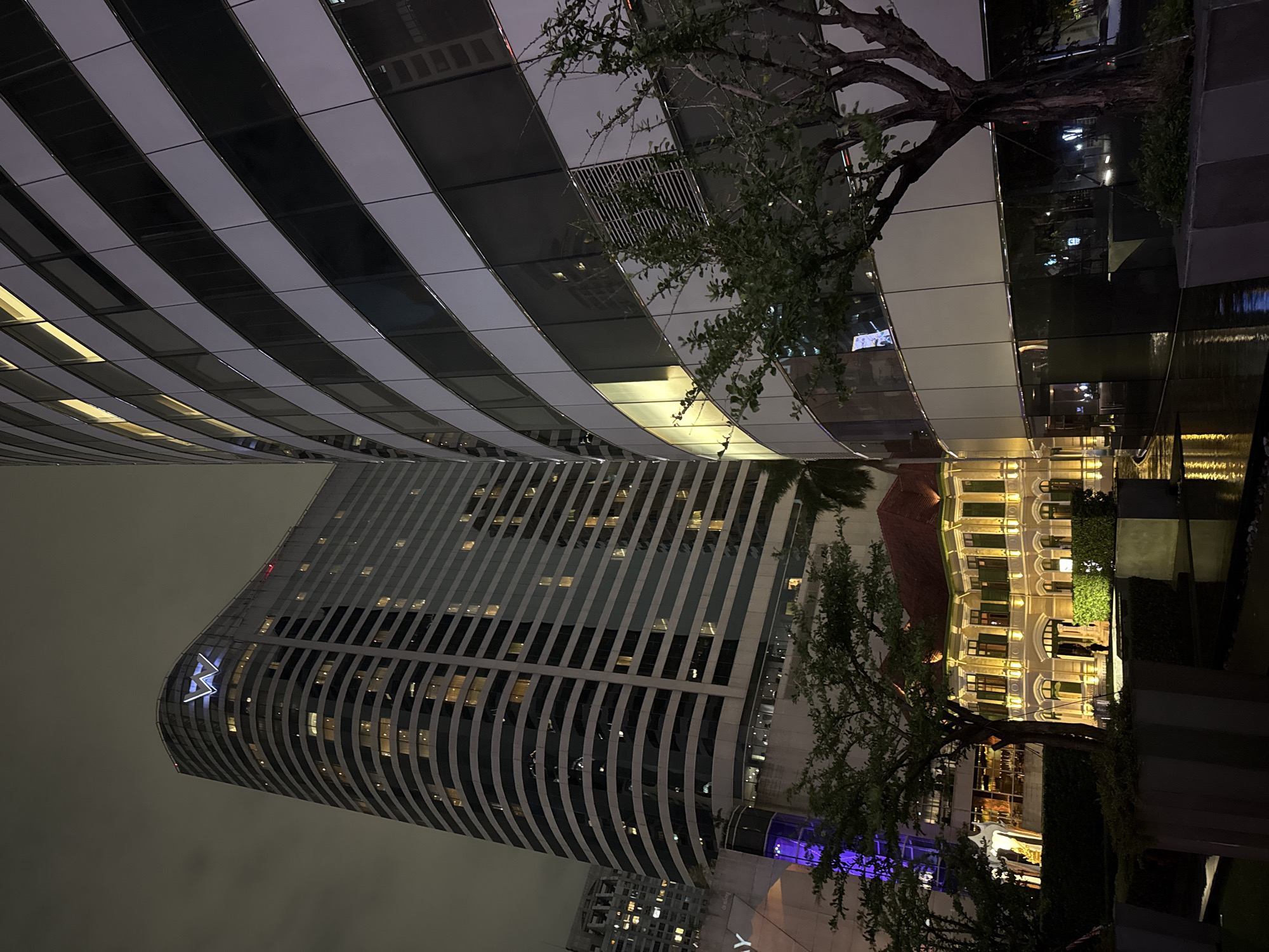 This is a nighttime, vertical, exterior shot of two modern skyscrapers and an older, ornate building. The sky is overcast and dark, suggesting it is either very late at night or a very cloudy evening. The primary subjects are the architectural structures. The taller, more distant skyscraper has a distinctive "W" logo illuminated in white on its curved facade, with many windows glowing with warm, yellow light. The closer skyscraper curves and appears to be clad in alternating white and dark horizontal bands, with some windows lit from within. A mature tree with a gnarled trunk and sparse foliage is positioned in the foreground, partially obscuring the closer building and reflecting in a dark, water feature or polished surface to the right. The background includes glimpses of other buildings and city lights, hinting at an urban setting. To the right of the frame, a section of the older building is visible, featuring arched windows, a red-tiled roof, and soft, yellowish lighting that highlights its decorative features. There is no discernible activity or event taking place, and the scene evokes a sense of quiet, urban nighttime ambiance. The location context provided is Bangkok, Thailand. There is no visible text other than the "W" logo on the skyscraper.
