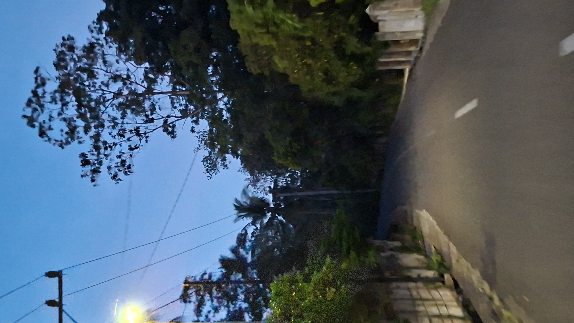 The image depicts a dimly lit, paved road winding through a tropical environment in Uleegeudong, Indonesia. The sky is a deep twilight blue, indicating either dawn or dusk. On the left side of the road, a concrete wall runs alongside, with some vegetation growing near its base. A streetlamp with a bright yellow light illuminates a portion of the road. Overhead, power lines crisscross the sky, supported by utility poles. Dense foliage, including tall trees and palm trees, flanks both sides of the road, creating a sense of enclosure. The road itself has a white dashed line marking the center. The right side of the road features a rough, textured wall or barrier, possibly made of stone or concrete. The overall atmosphere is quiet and serene, suggesting a rural or suburban setting.