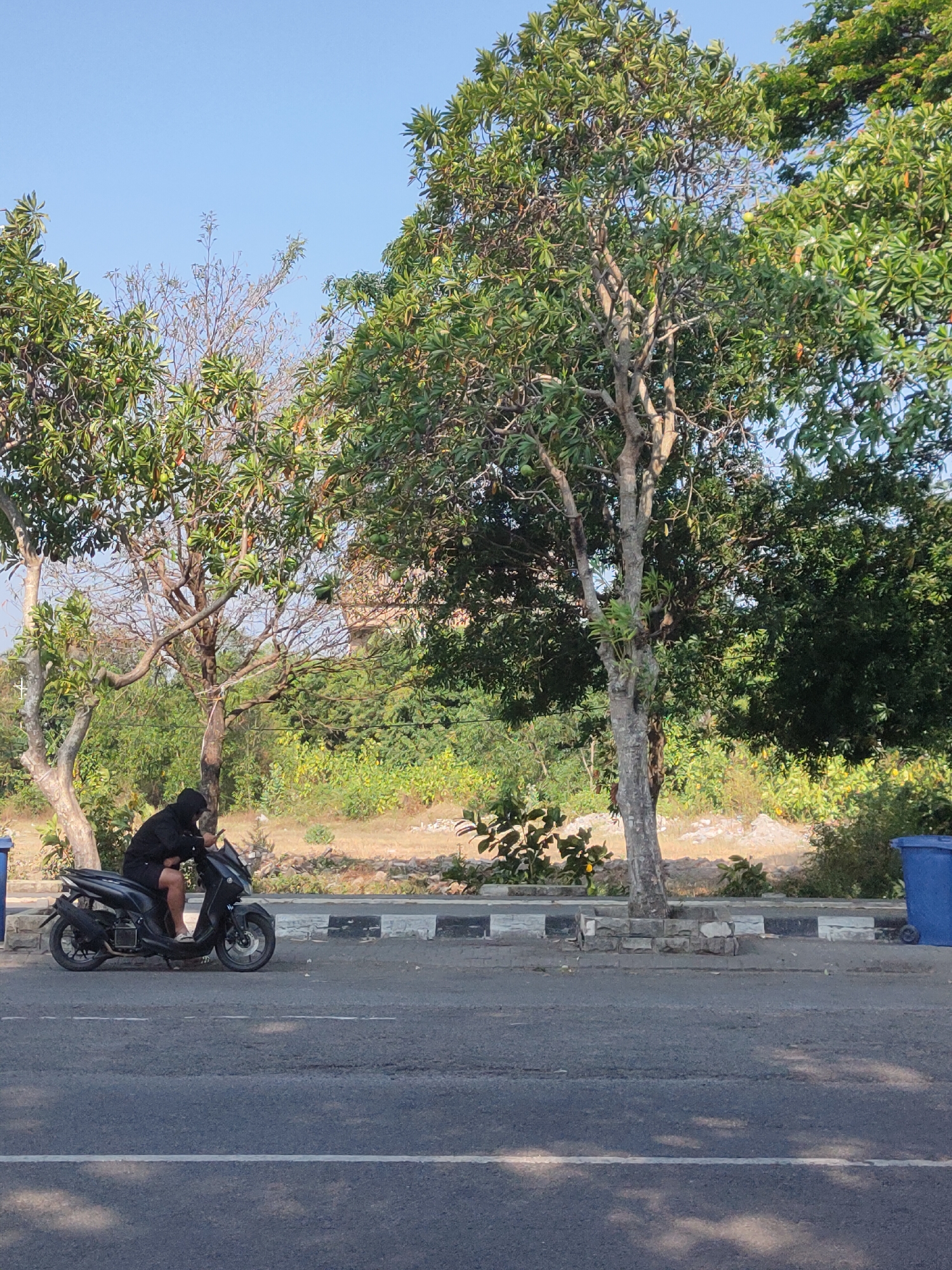 In Ngasem, Indonesia, a person wearing a black hooded jacket and shorts sits on a black scooter on the side of a paved road. The scooter is positioned on a sidewalk with a decorative border of grey and white rectangular stones, adjacent to a patch of dry vegetation and dirt. Behind the sidewalk, several trees with green foliage are visible, and further in the background, a dense area of green bushes and trees forms a natural landscape under a clear blue sky. To the left of the scooter, a blue trash bin is partially visible, and to the right, another blue trash bin is visible on the sidewalk. The road in the foreground has white lane markings and is cast with shadows from the trees.