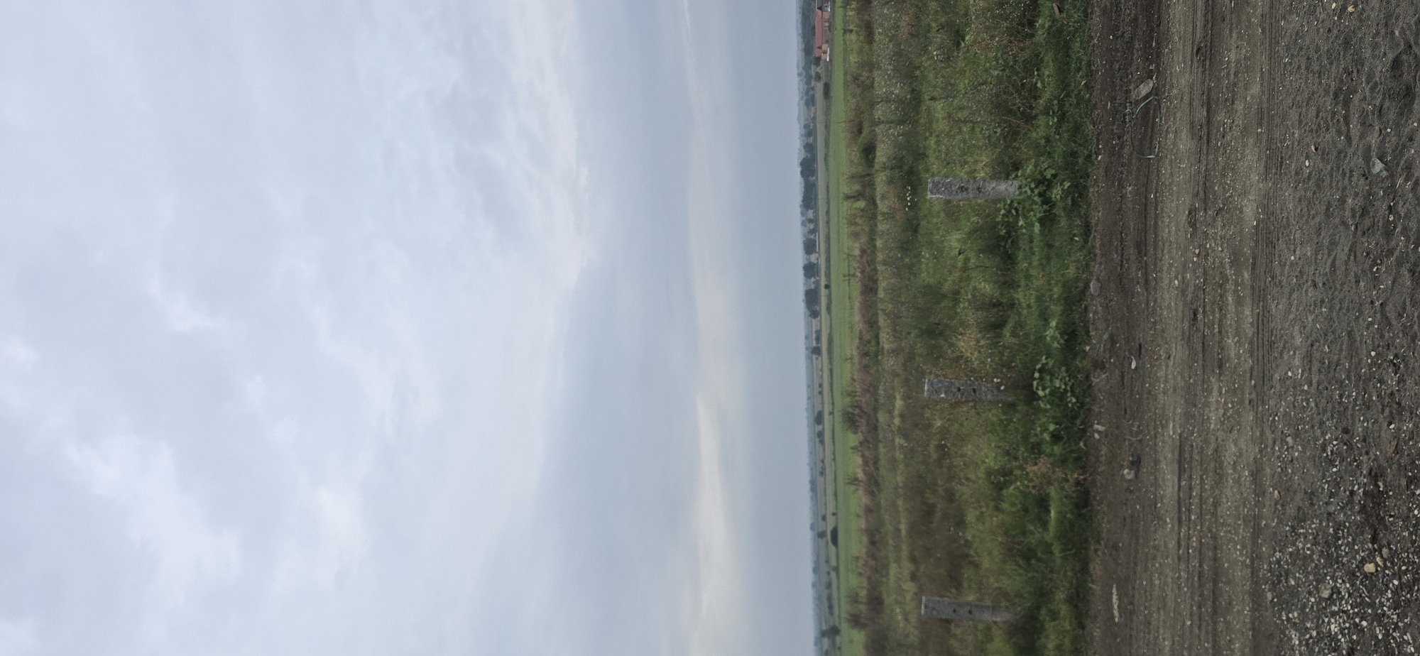 The image depicts a rural landscape under an overcast sky. In the foreground, a dirt path with scattered gravel and tire tracks leads into a grassy field. Three weathered concrete posts are partially visible in the field, spaced apart. Beyond the field, a vast expanse of green farmland stretches to the horizon, dotted with clusters of trees and a distant building with a red roof on the right side. The sky is a uniform light gray, suggesting a cloudy day. The scene appears to be in a rural area, possibly farmland or meadows, with no immediate signs of urban development. The location in Oyskhara, Russia, is not visually discernible from the image itself.