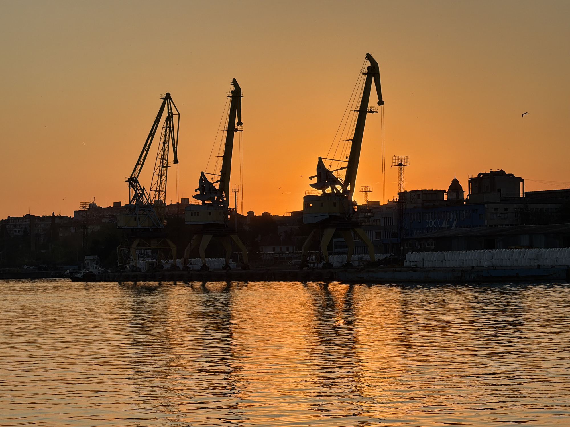 The image captures a sunset view of the port of Burgas, Bulgaria. Three large harbor cranes are silhouetted against the orange sky and reflected in the water below. Behind the cranes, a city skyline is visible. The water is calm, reflecting the colors of the sunset. There is a bird flying in the distance.