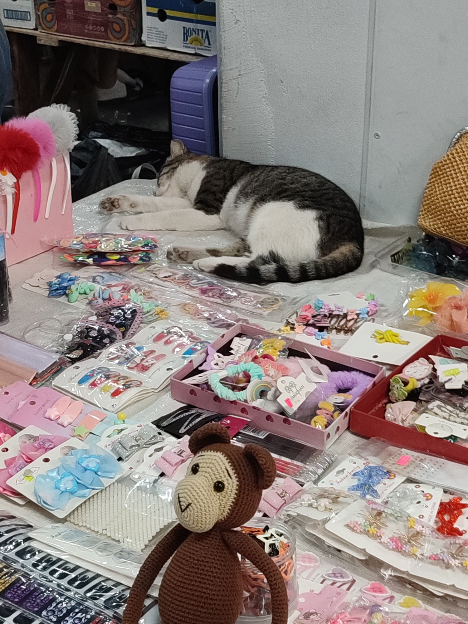 A tabby and white cat sleeps on a surface covered with various hair accessories. The accessories are neatly arranged in plastic packaging and boxes, including hair clips, scrunchies, and headbands. A crochet monkey toy is positioned in the foreground, facing right. In the background, shelves are visible with boxes and a purple plastic container. The scene appears to be a retail display or stall, likely in a market setting. The location is identified as Kadıköy, Turkey.