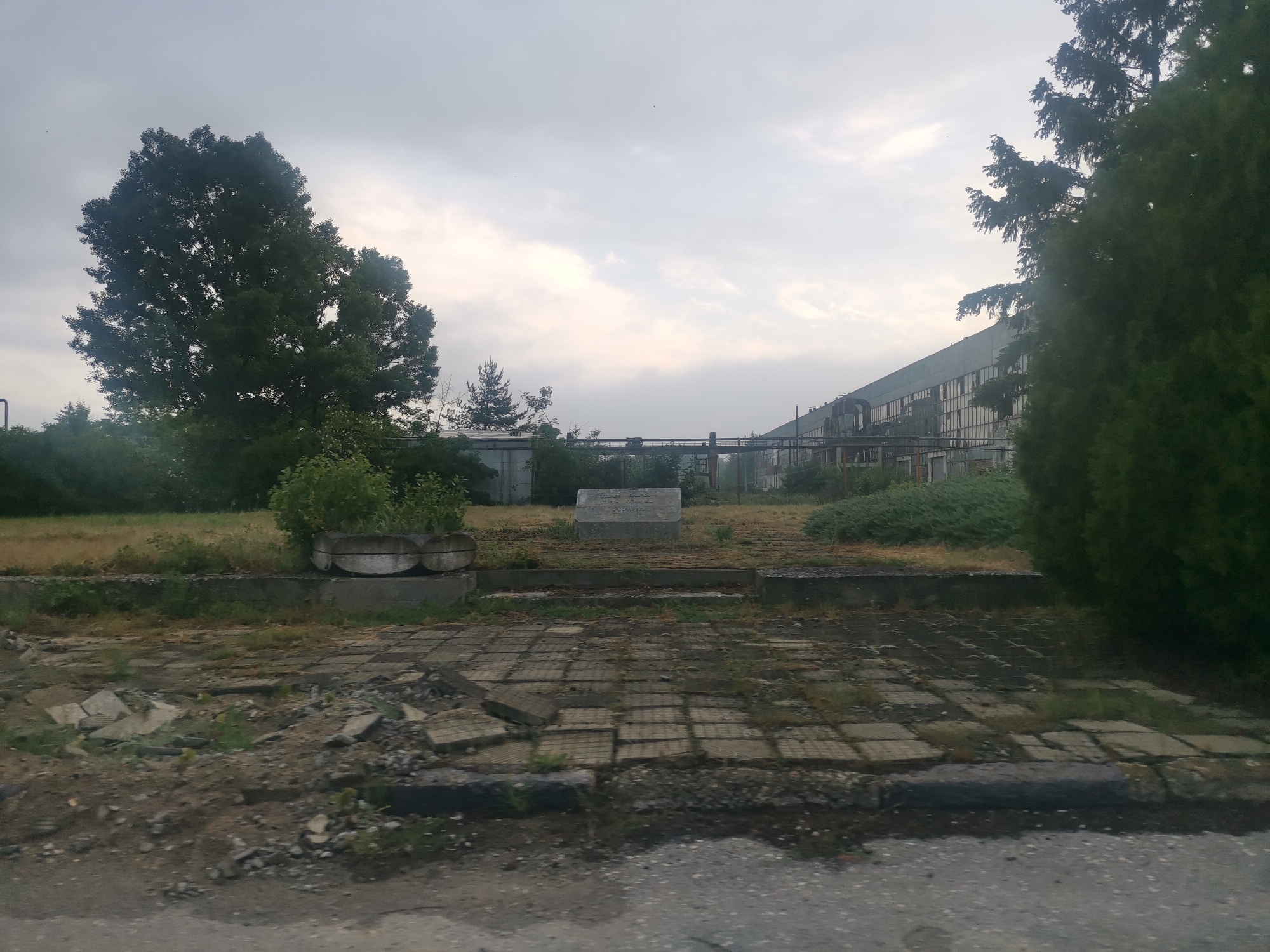 This media file depicts a neglected outdoor area in Zhivkovo, Bulgaria, adjacent to a large industrial building under an overcast sky. The scene conveys a sense of abandonment and decay.
In the immediate foreground, a dark, possibly damp, paved surface gives way to a dilapidated expanse of broken and cracked square concrete slabs, heavily overgrown with weeds and dirt.
The midground features a mix of natural and man-made elements. To the left, a large, mature deciduous tree with a dense green canopy stands tall. On the right, a dark, columnar evergreen tree partially frames the scene. Centrally, a concrete planter containing small bushes is situated on a grassy, unkempt patch. Behind this planter, a rectangular concrete monument is visible. The text inscribed on it reads: "ВЕЧНА СЛАВА НА ГЕРОИТЕ ПОДВИГА И СВОБОДАТА НА НАРОДА 9-IX-1944," which translates to "ETERNAL GLORY TO THE HEROES FOR THE FEAT AND FREEDOM OF THE PEOPLE 9-IX-1944." This likely commemorates the 1944 Bulgarian coup d'état.
The background is dominated by a long, multi-story industrial building characterized by rows of windows, some appearing broken or disused. A complex network of pipes and a metal structural element, possibly part of an overhead conveyor or crane system, run along the building's facade. The sky is uniformly cloudy, diffusing the light and suggesting either early morning, late afternoon, or a generally overcast day. There are no people visible, and no discernible activity is taking place, reinforcing the scene's desolate atmosphere.