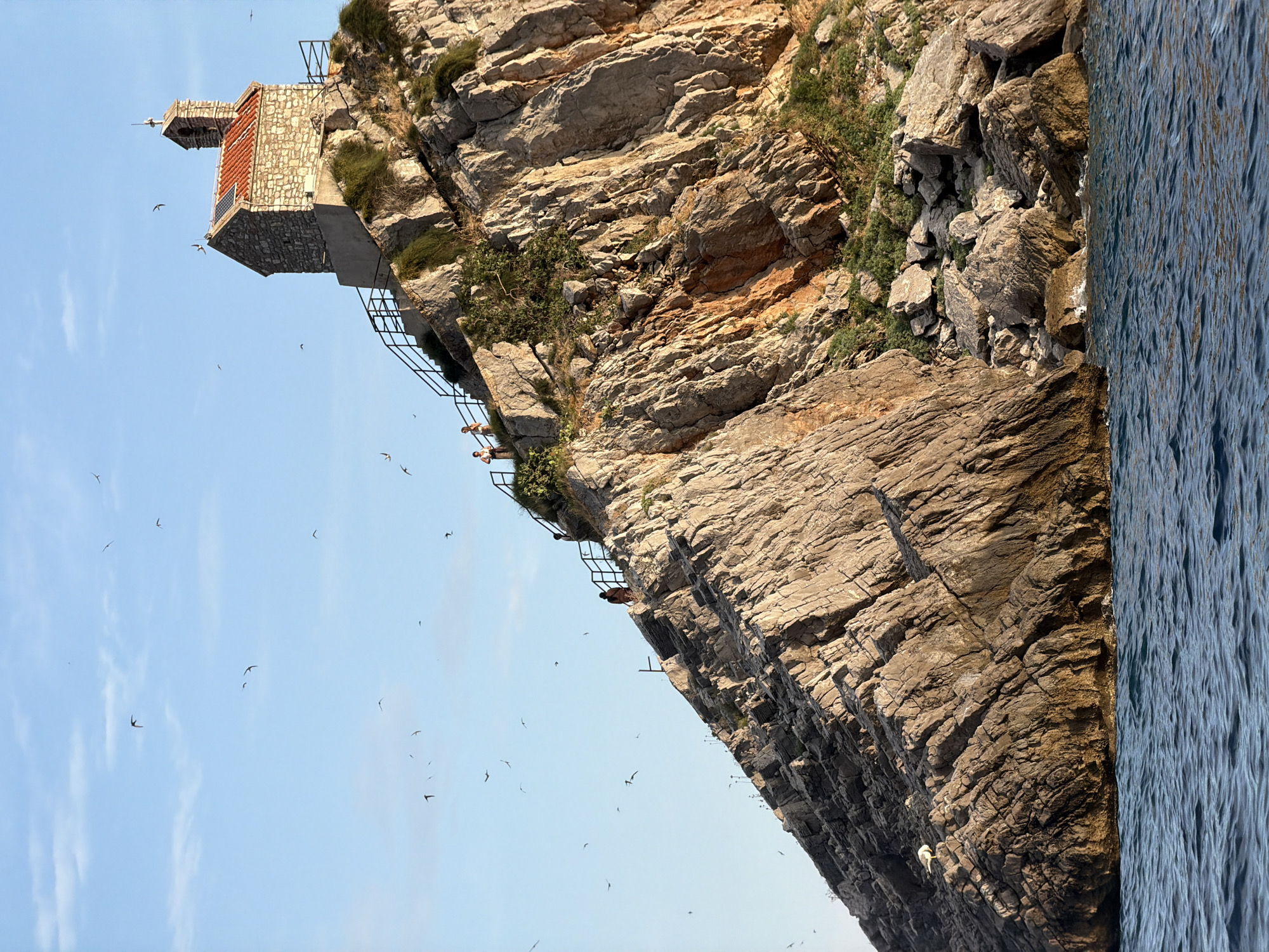 The image captures a dramatic scene of a small, red-roofed stone building perched precariously on a steep, rocky cliff face. A metal walkway with railings leads up to the building, with a person visible at the top of the stairs, appearing to lean over the edge. The cliff itself is rugged and textured, with patches of green vegetation clinging to its surface. Below the cliff, the deep blue water of the sea is visible, with ripples suggesting a slight movement. A flock of small birds is scattered across the sky, some in flight and others perching on the cliff face. The sky is a clear, bright blue, with a few wispy clouds. The lighting suggests it is daytime, likely late afternoon or early morning given the angle of the sun and the deep shadows on the cliff. The location appears to be Nerin, Montenegro, a place known for its coastal cliffs and historic sites. The overall impression is one of natural beauty and human endeavor, with the small building standing as a testament to resilience against the elements.