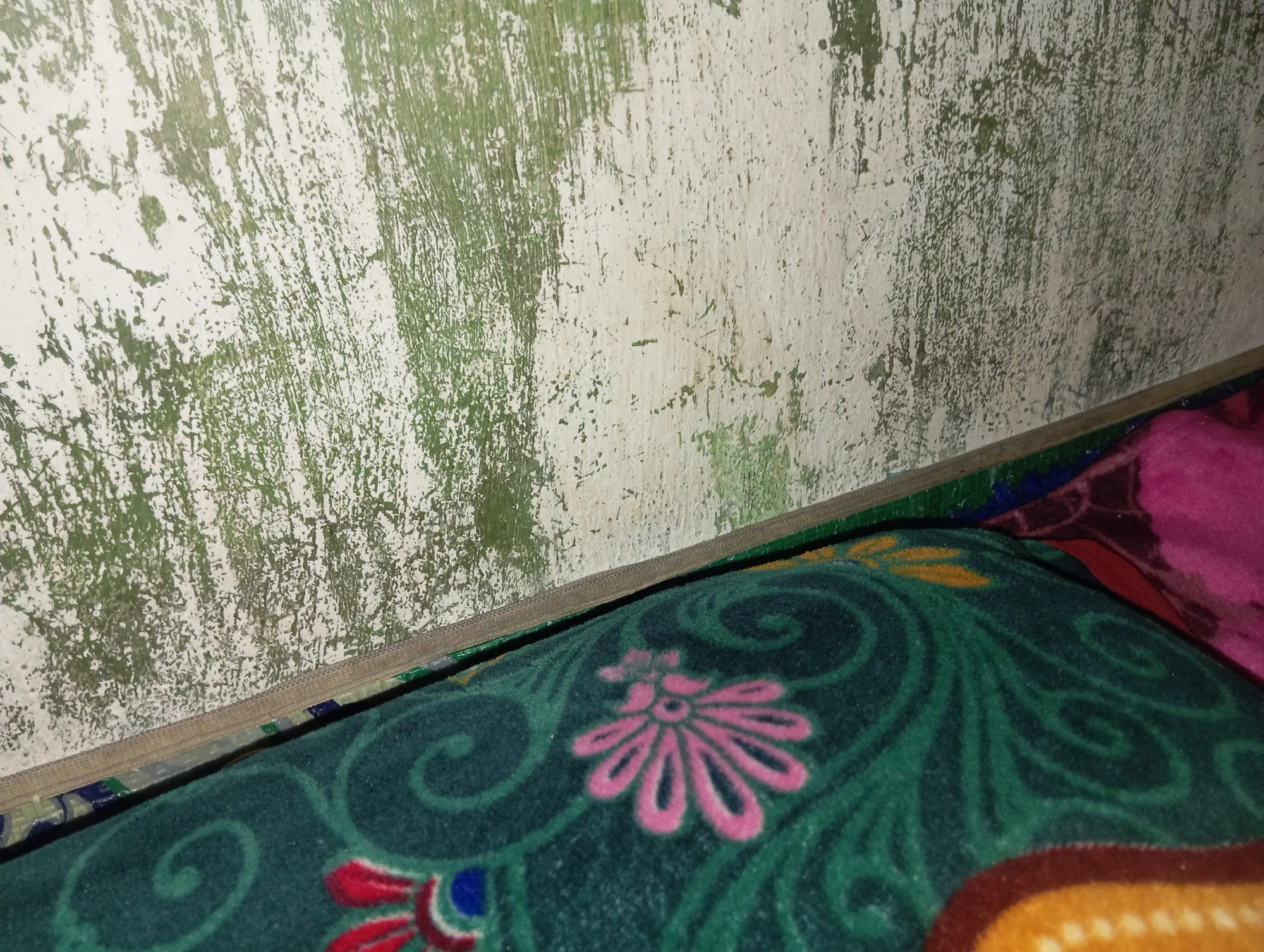 The image shows a close-up view of a wall with peeling paint and a blanket with a floral pattern. The wall is textured and appears to be old, with patches of white and green paint showing through. The blanket is a dark green color with a pink floral design and swirls. A zipper is visible along the edge where the wall meets the blanket. The scene is likely indoors, possibly in a residential setting. The location is identified as Rejosari, Indonesia, but no specific landmarks or context are provided to confirm this.