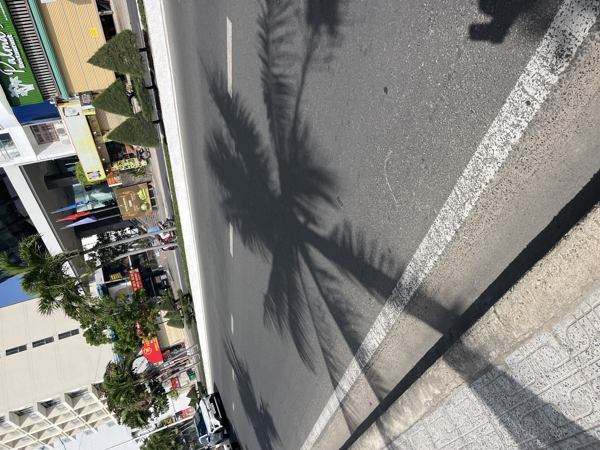 The scene shows an asphalt road with a white line separating lanes. The shadow of a palm tree is cast across the road. Buildings and businesses are visible on one side of the road. The location is Bac Nha Trang Ward, Vietnam. Vehicles are partially visible on the road.
