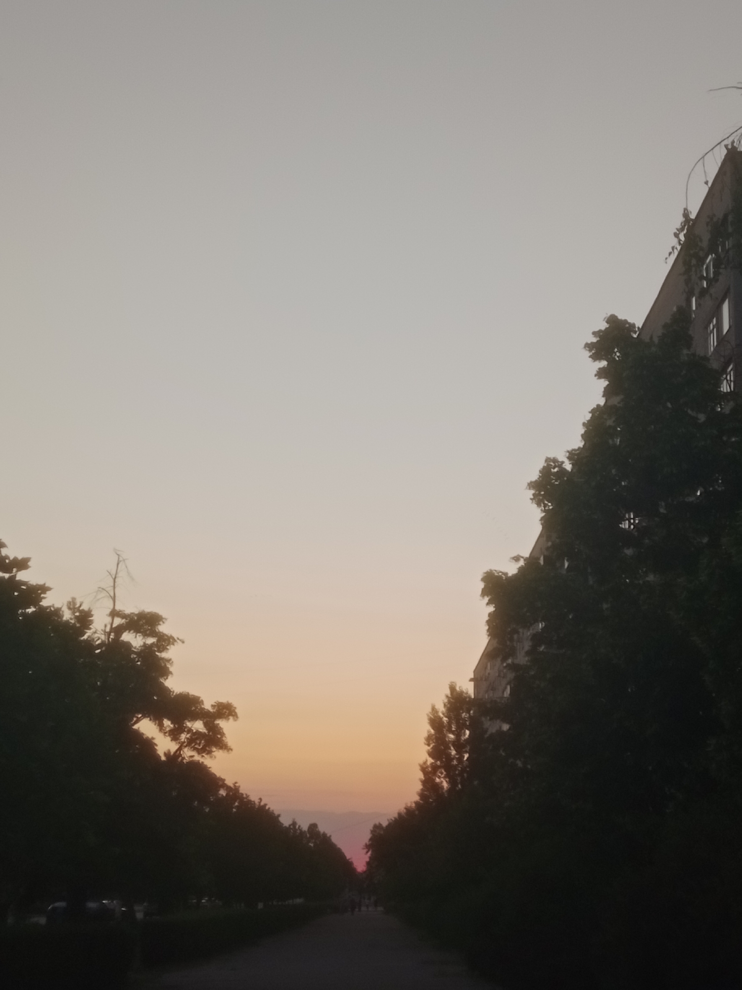The image depicts a street scene at dusk in Horishni Plavni, Ukraine. On the right side of the frame, a multi-story building with visible windows is silhouetted against a pale orange and gray sky, with green foliage extending from its upper levels and along its side. A line of dense trees with dark green foliage stretches along the left side of the street, creating a tunnel-like effect. These trees are also silhouetted against the twilight sky. A paved path or road runs through the center of the image, leading towards a distant horizon where a pinkish glow indicates the setting sun. In the background, there are faint outlines of other buildings and what appear to be a few scattered people and vehicles on the street. The overall atmosphere is calm and subdued due to the low light conditions of sunset.