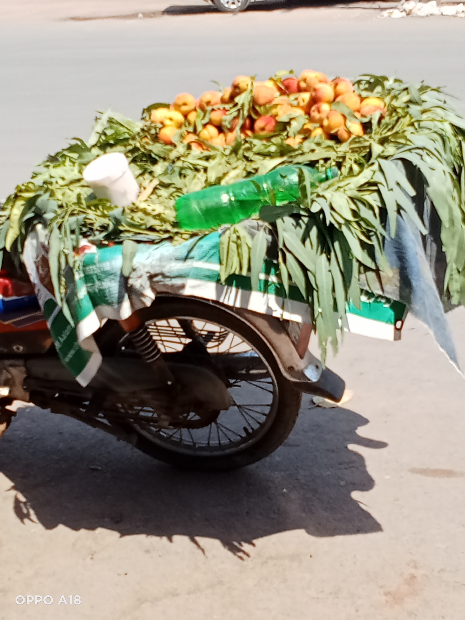 A street-level, medium-close-up shot captures the rear portion of a motorcycle heavily laden with fresh produce and foliage, likely parked on a paved road. The motorcycle's rear wheel, fender, and suspension are visible on the left and center.
The bulk of the cargo consists of a large pile of round, ripe peaches or nectarines, displaying shades of orange, red, and yellow. These fruits are nestled on and surrounded by an abundance of long, green leaves, possibly eucalyptus, which seem to be used for cushioning and keeping the produce fresh. A white plastic cup and a partially full green plastic bottle lie among the leaves on top of the load.
Various fabrics and cloths are draped over the motorcycle's back, securing the cargo. A prominent green and white patterned fabric with faint text, possibly "A. Addou," is visible on the left, hanging down. Another blue or grey fabric is draped over the right side.
The scene is brightly lit by strong sunlight, casting distinct, dark shadows on the light grey pavement below, suggesting it is daytime, possibly late morning or early afternoon. One shadow, particularly on the far right bottom, appears to be cast by a person or object with a distinct shape. The bottom-left corner of the image features a "OPPO A18" watermark.
